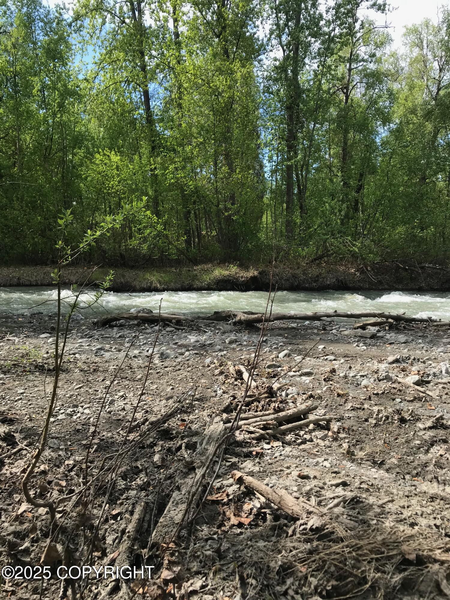 B50 Yarnot, Chugiak, Alaska image 15