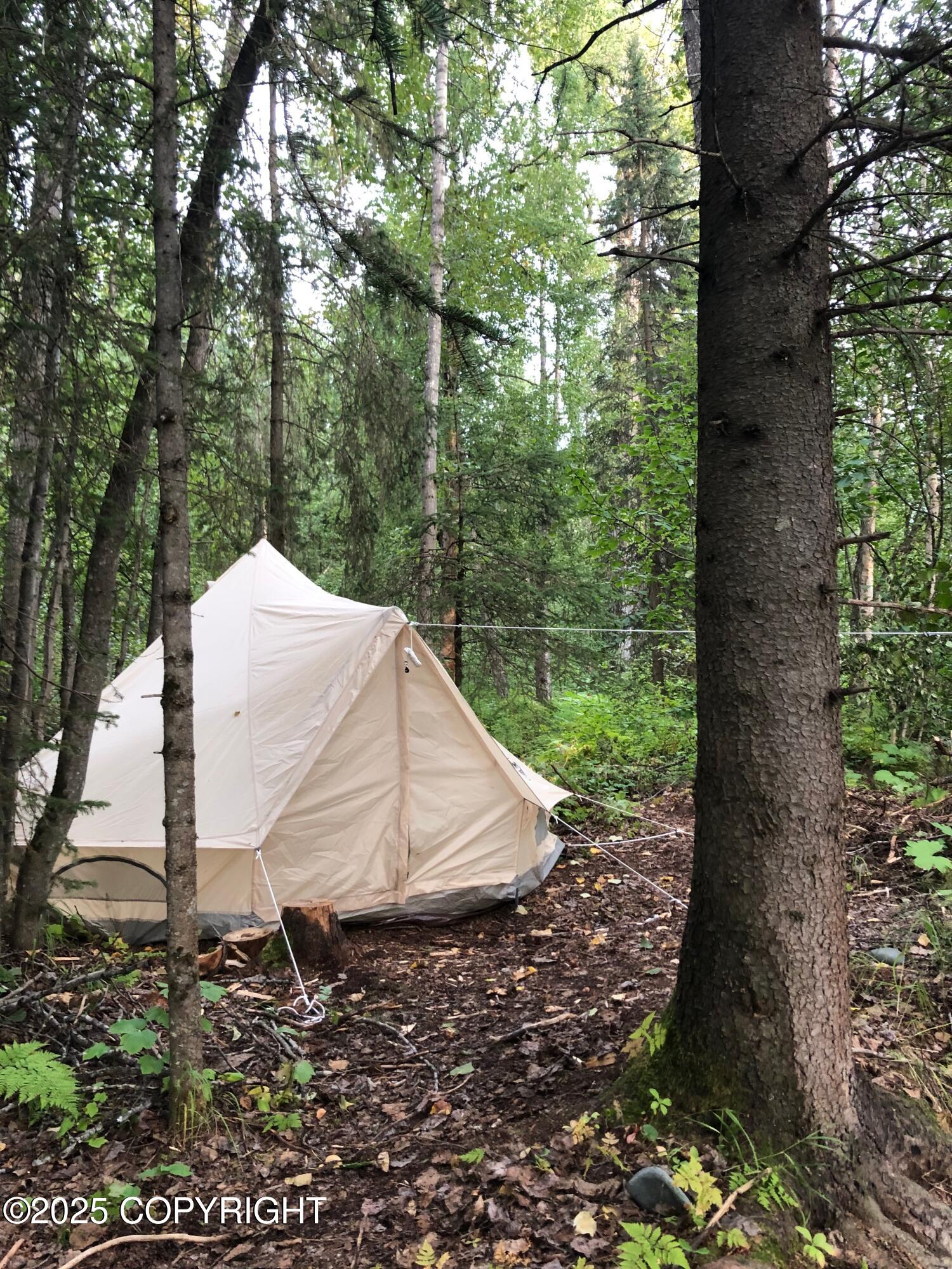 B50 Yarnot, Chugiak, Alaska image 26