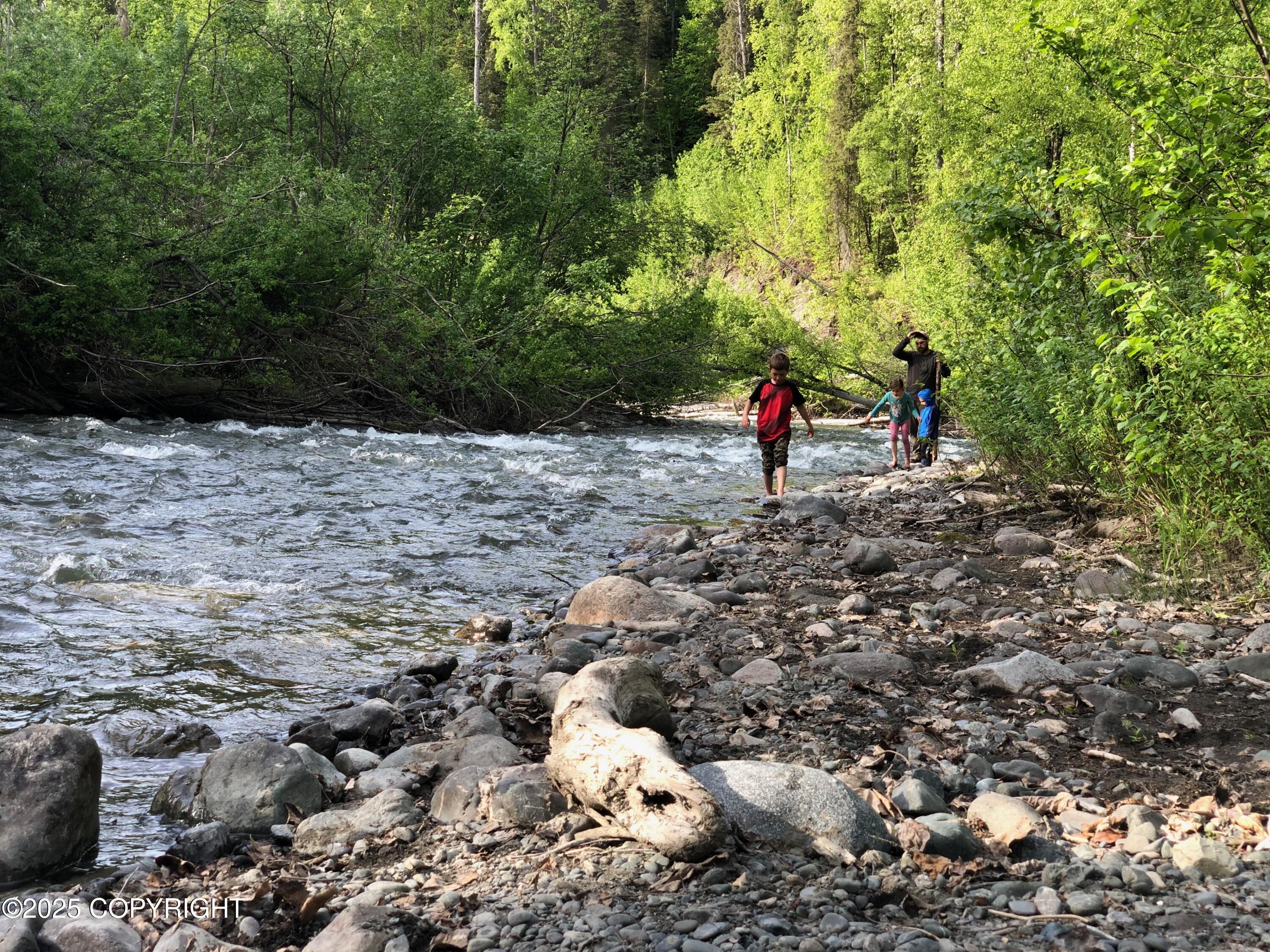B50 Yarnot, Chugiak, Alaska image 1