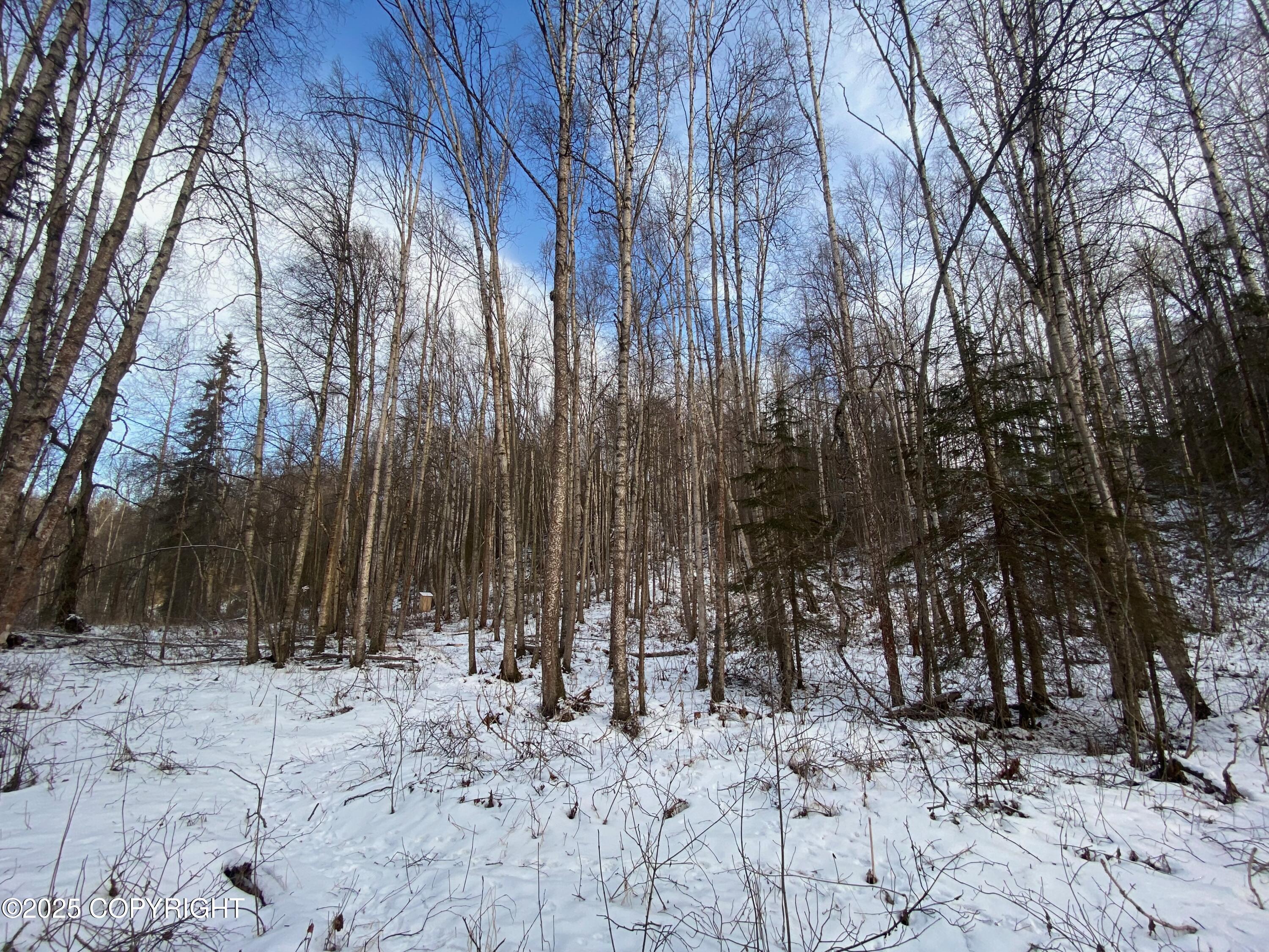 B50 Yarnot, Chugiak, Alaska image 33