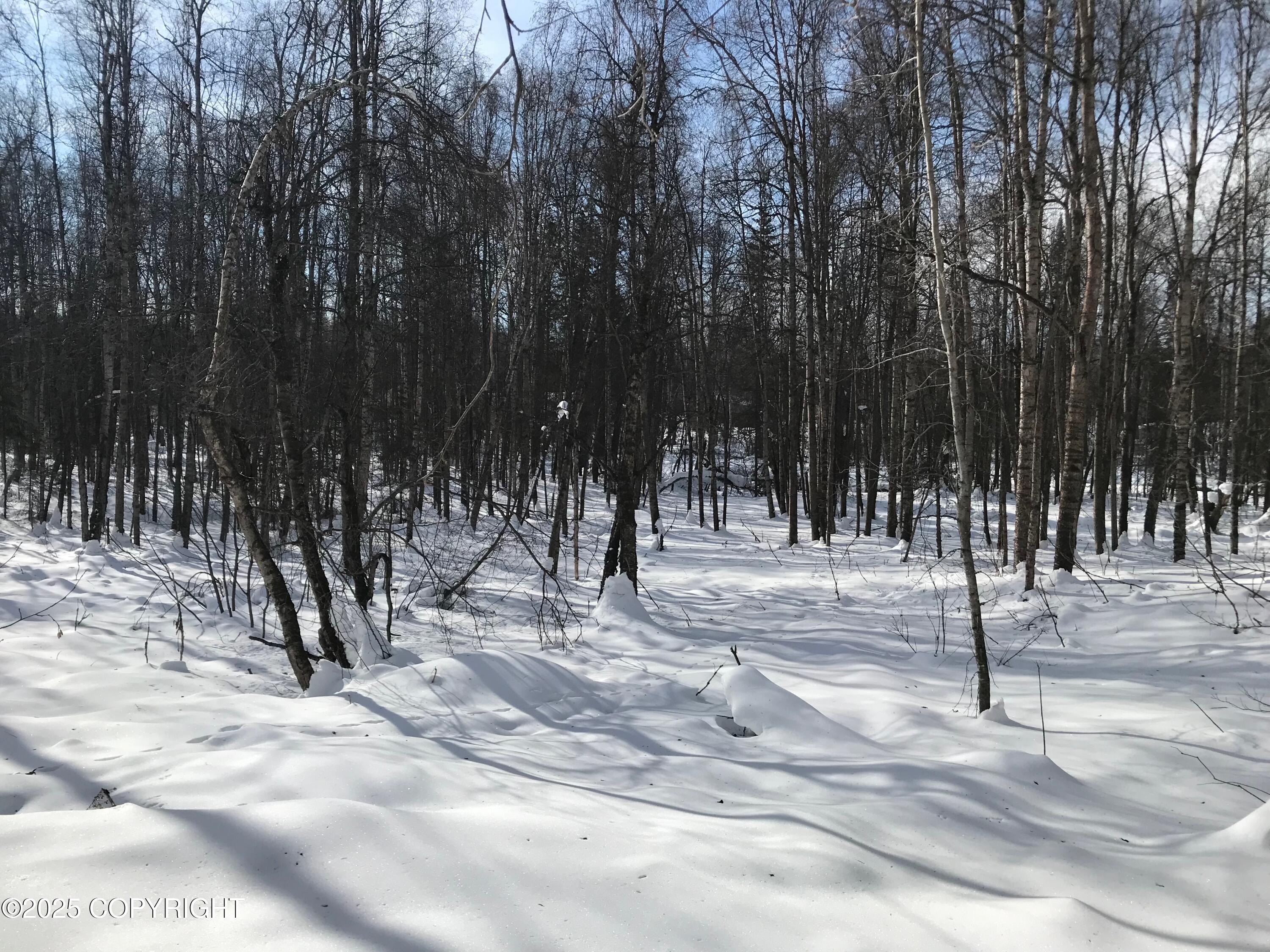 B50 Yarnot, Chugiak, Alaska image 20