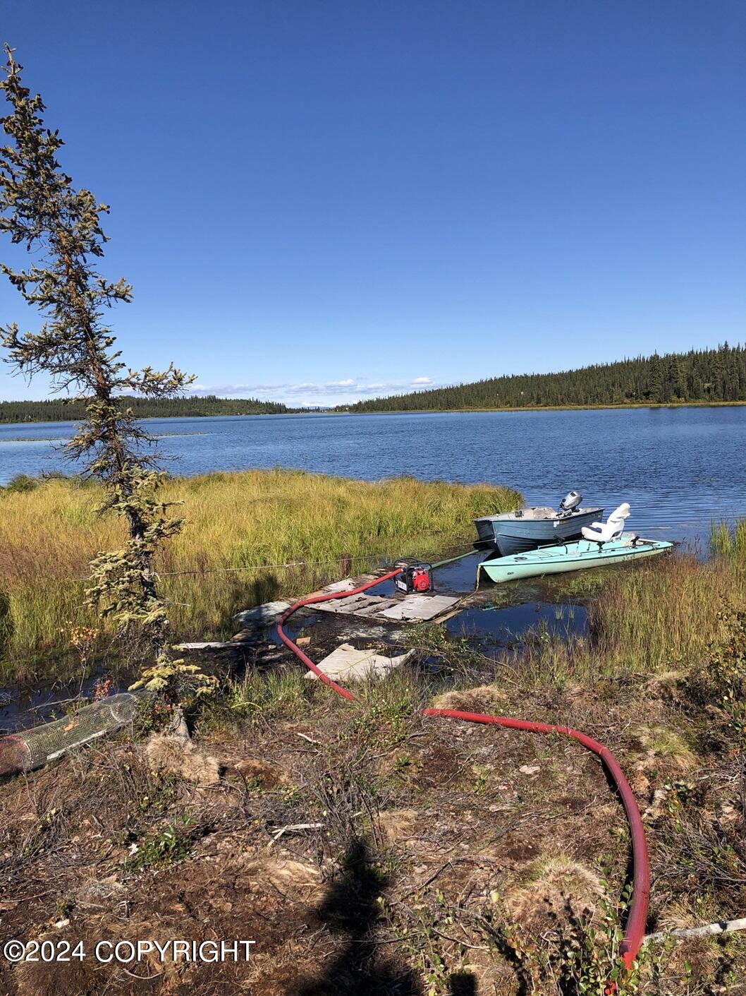 Lot 12 Dinty Lake (trail Access) Ln #5, Glennallen, Alaska image 9