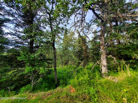 Photo of 73486 Ann Court, Anchor Point, AK 99556 (MLS # 26-8381)
