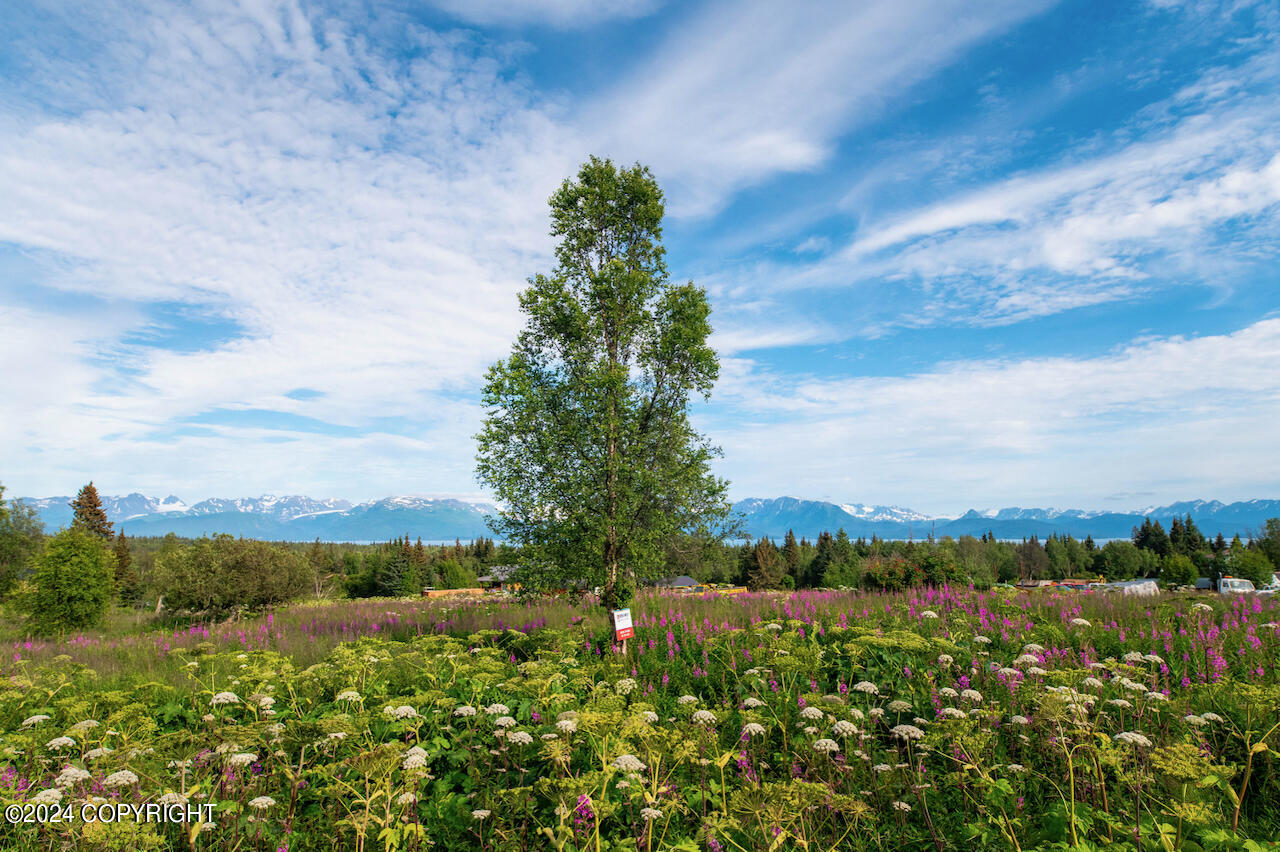 L8 B3 Glenn Road, Homer, Alaska image 12