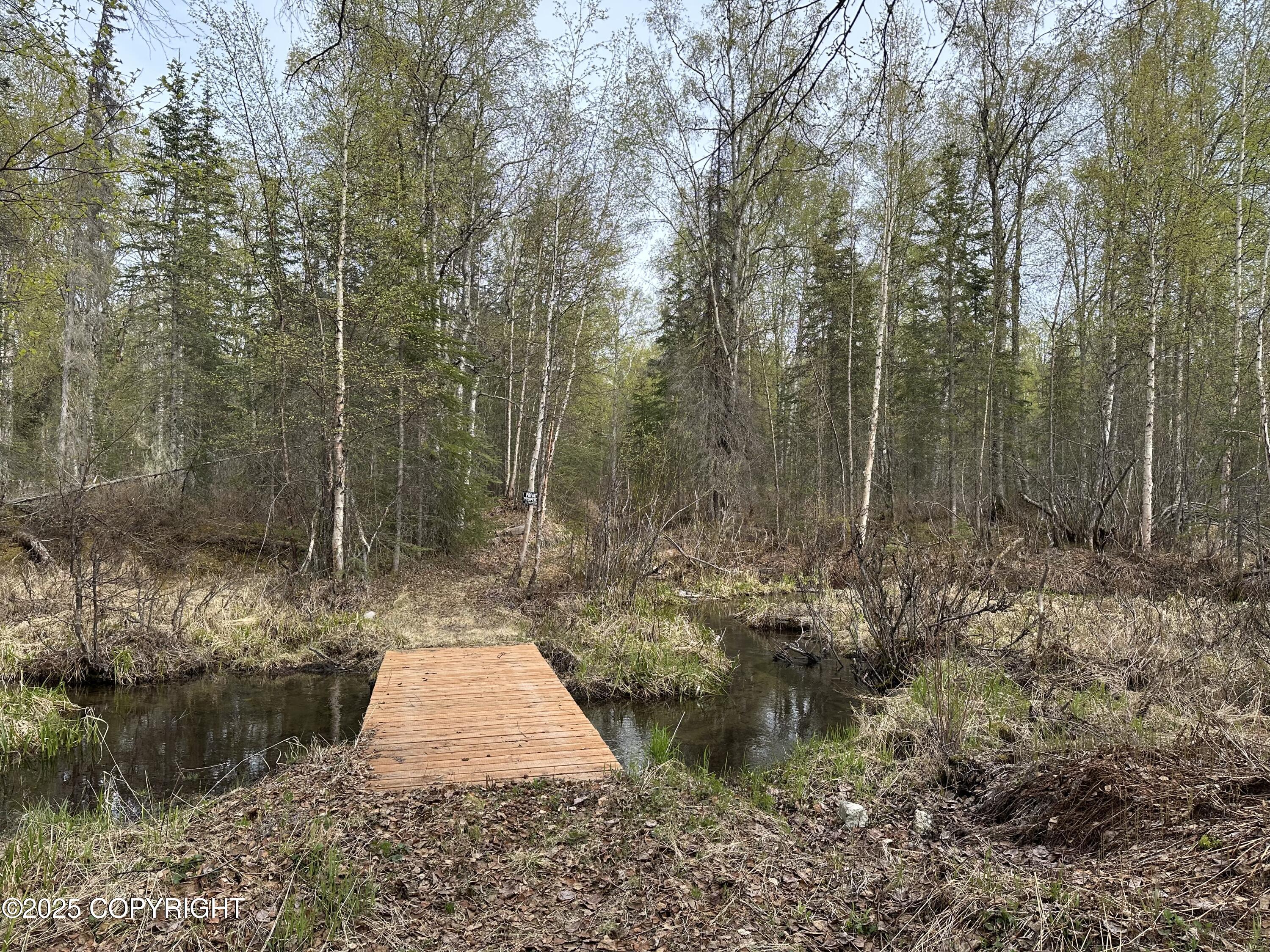 19169 E Ogilvie Road, Talkeetna, Alaska image 3