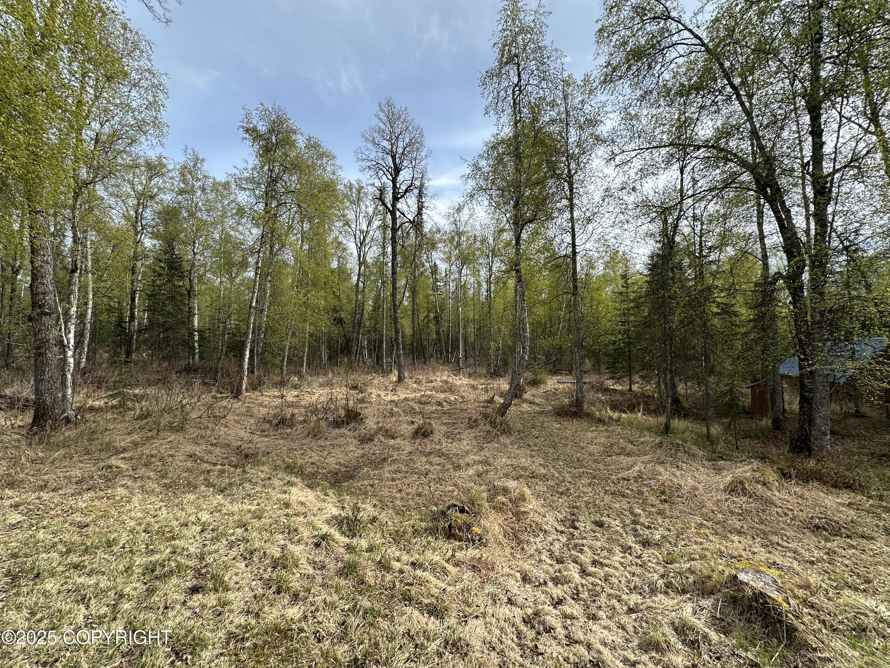 19169 E Ogilvie Road, Talkeetna, Alaska image 20