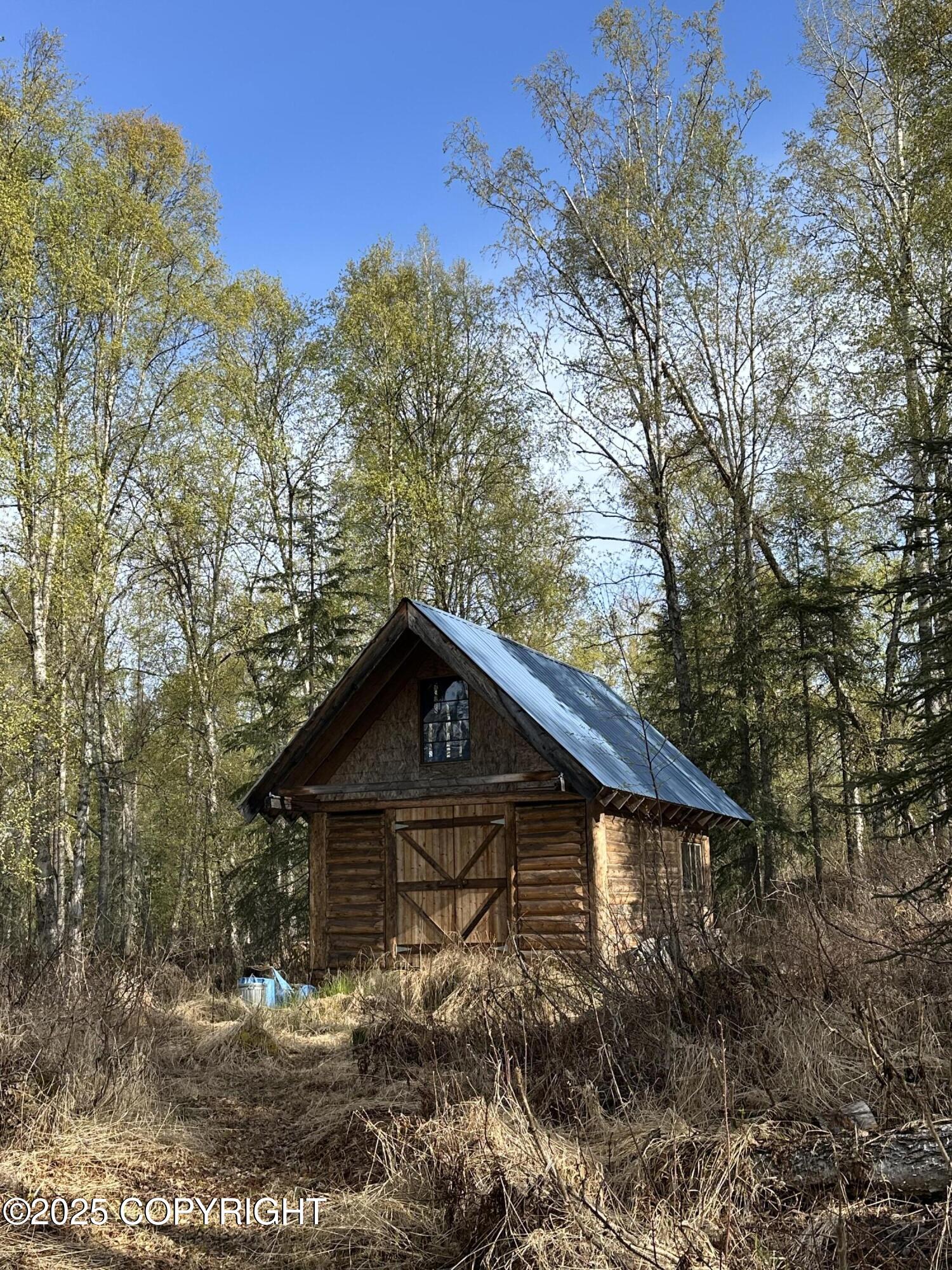 19169 E Ogilvie Road, Talkeetna, Alaska image 21
