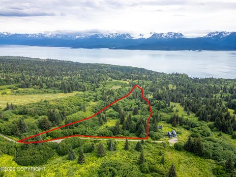 Vacant Land For Sale - 36484 Wild Haven Road<br/> Homer, AK 99603
