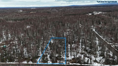 Vacant Land For Sale - 15863 E Willow Circle<br/> Talkeetna, AK 99676