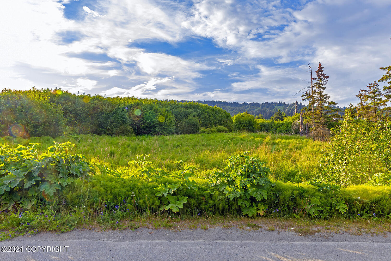 3658 Forest Glen Drive, Homer, Alaska image 15