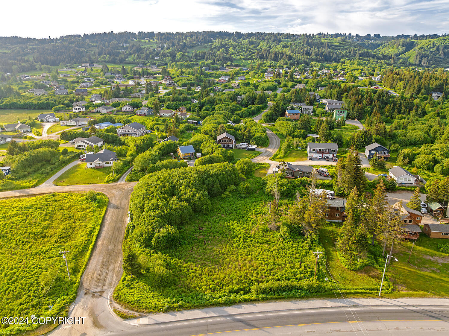 3658 Forest Glen Drive, Homer, Alaska image 13