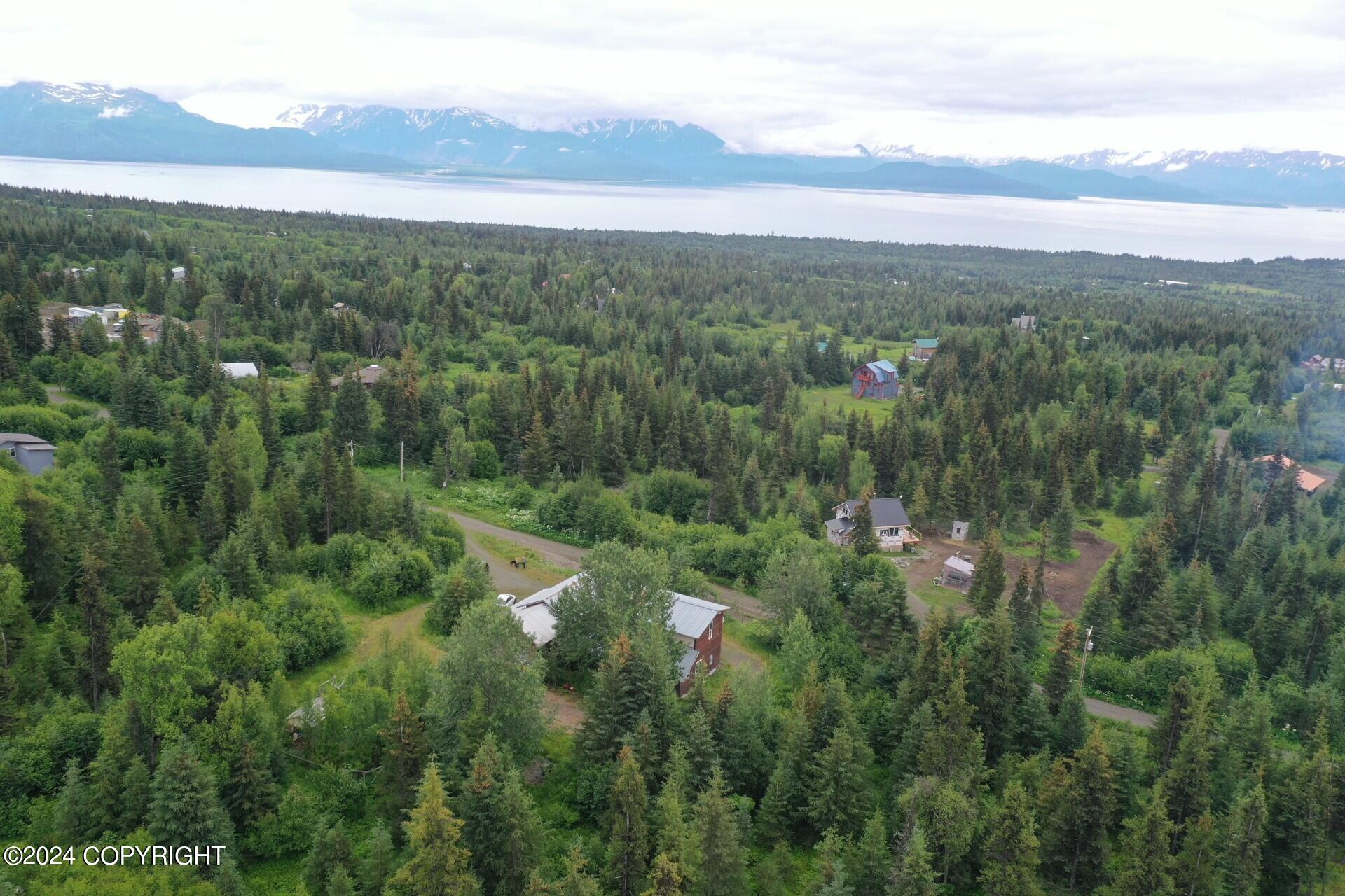 55220 Benjamin Avenue, Homer, Alaska image 7