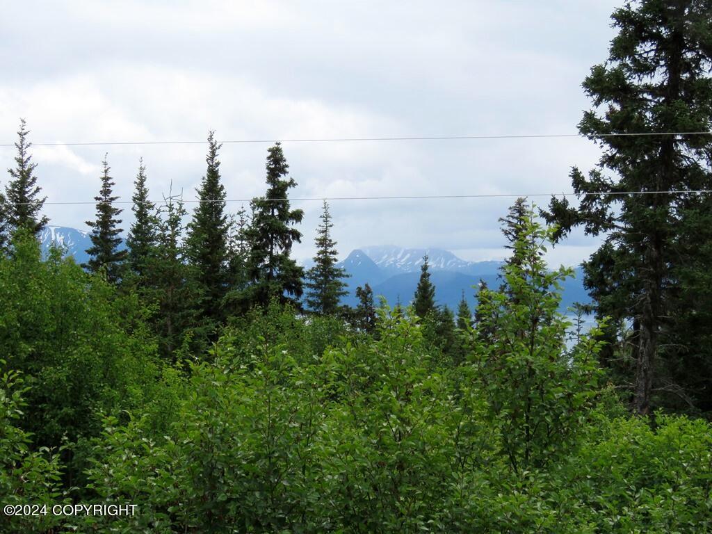 55220 Benjamin Avenue, Homer, Alaska image 35