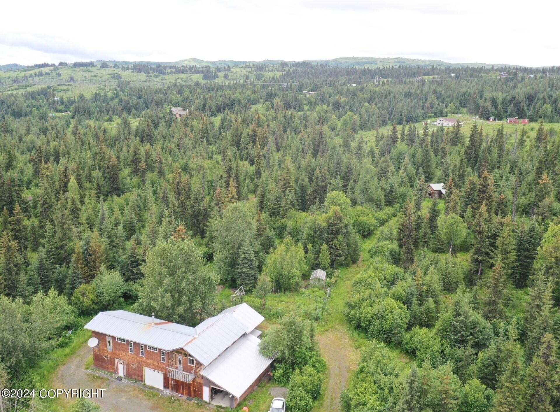 55220 Benjamin Avenue, Homer, Alaska image 8