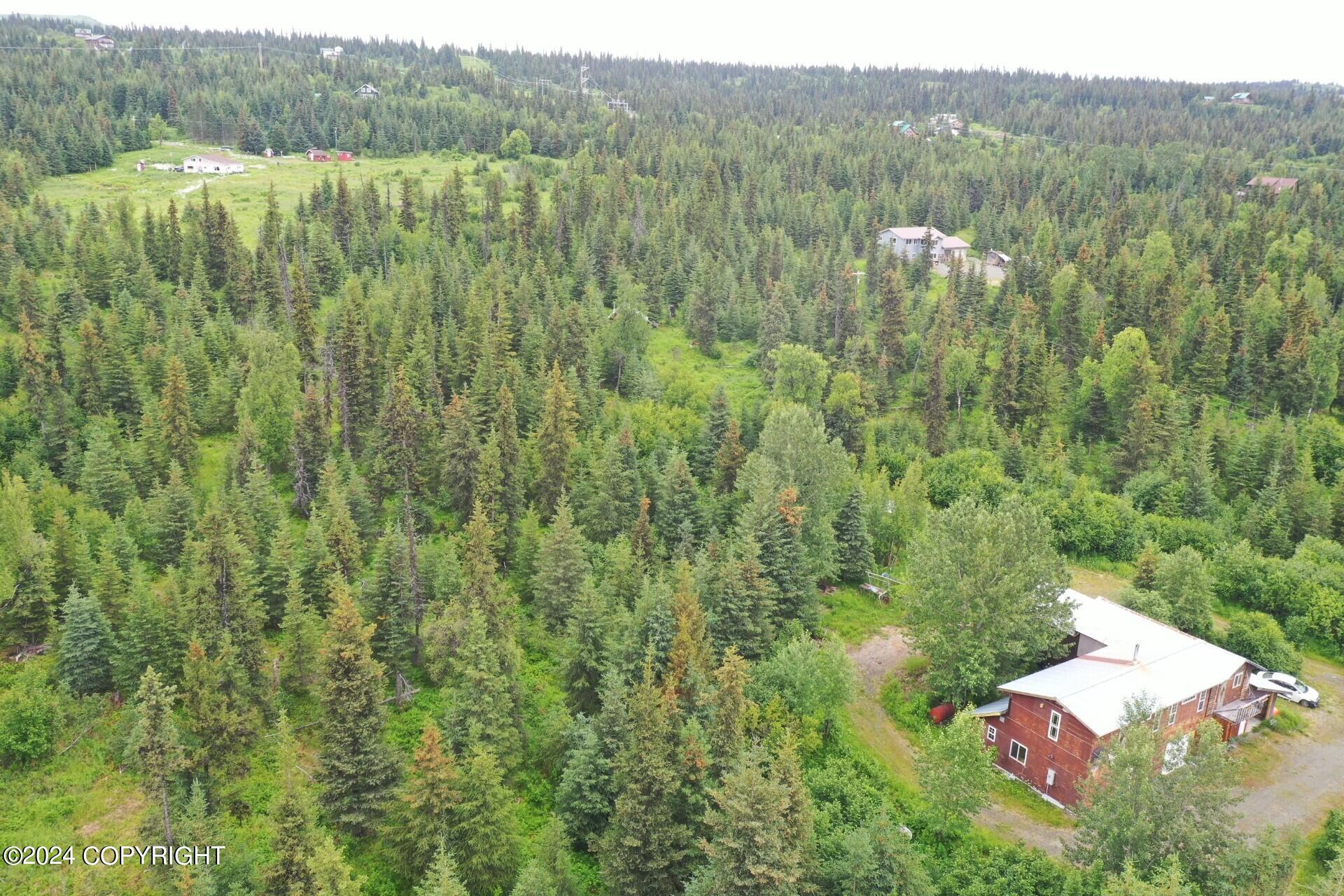 55220 Benjamin Avenue, Homer, Alaska image 45