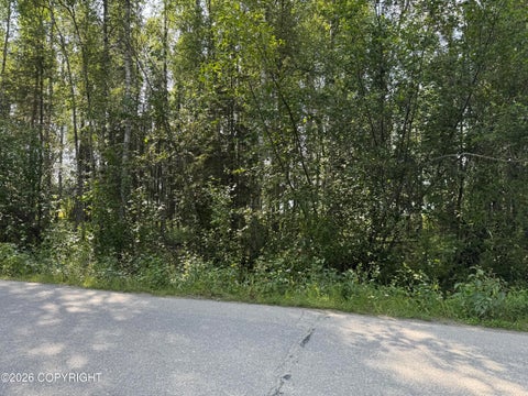 Photo of 12650 W King Arthur Drive, Houston, AK 99623 (MLS # 26-10644)