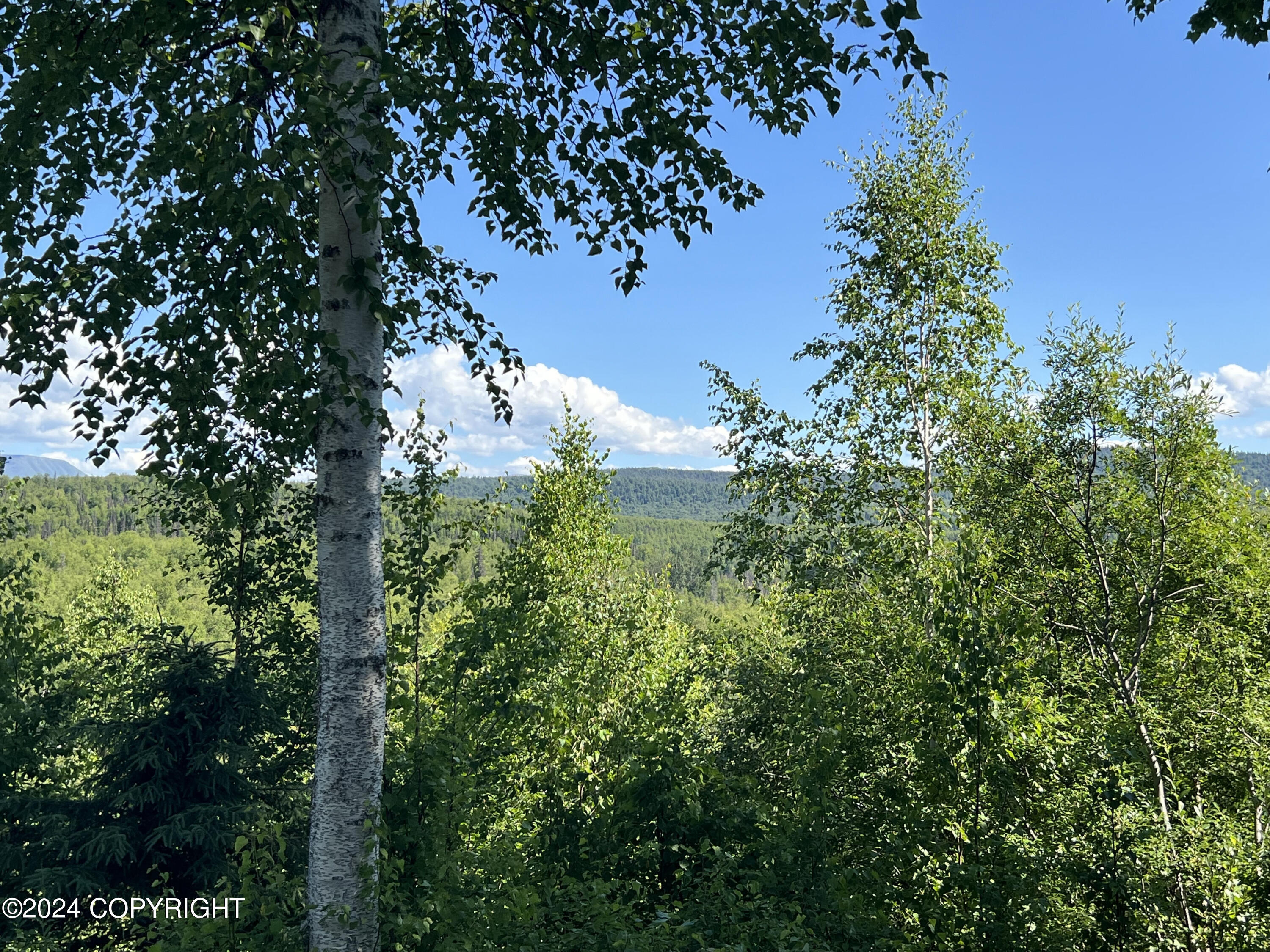 B005 No Road Trail, Willow, Alaska image 23