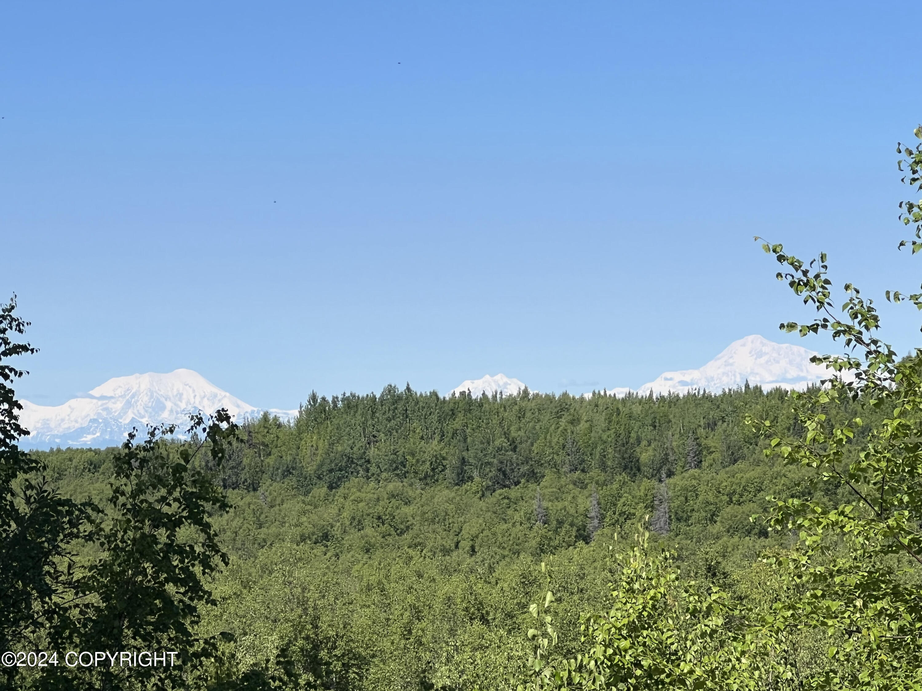 B005 No Road Trail, Willow, Alaska image 22