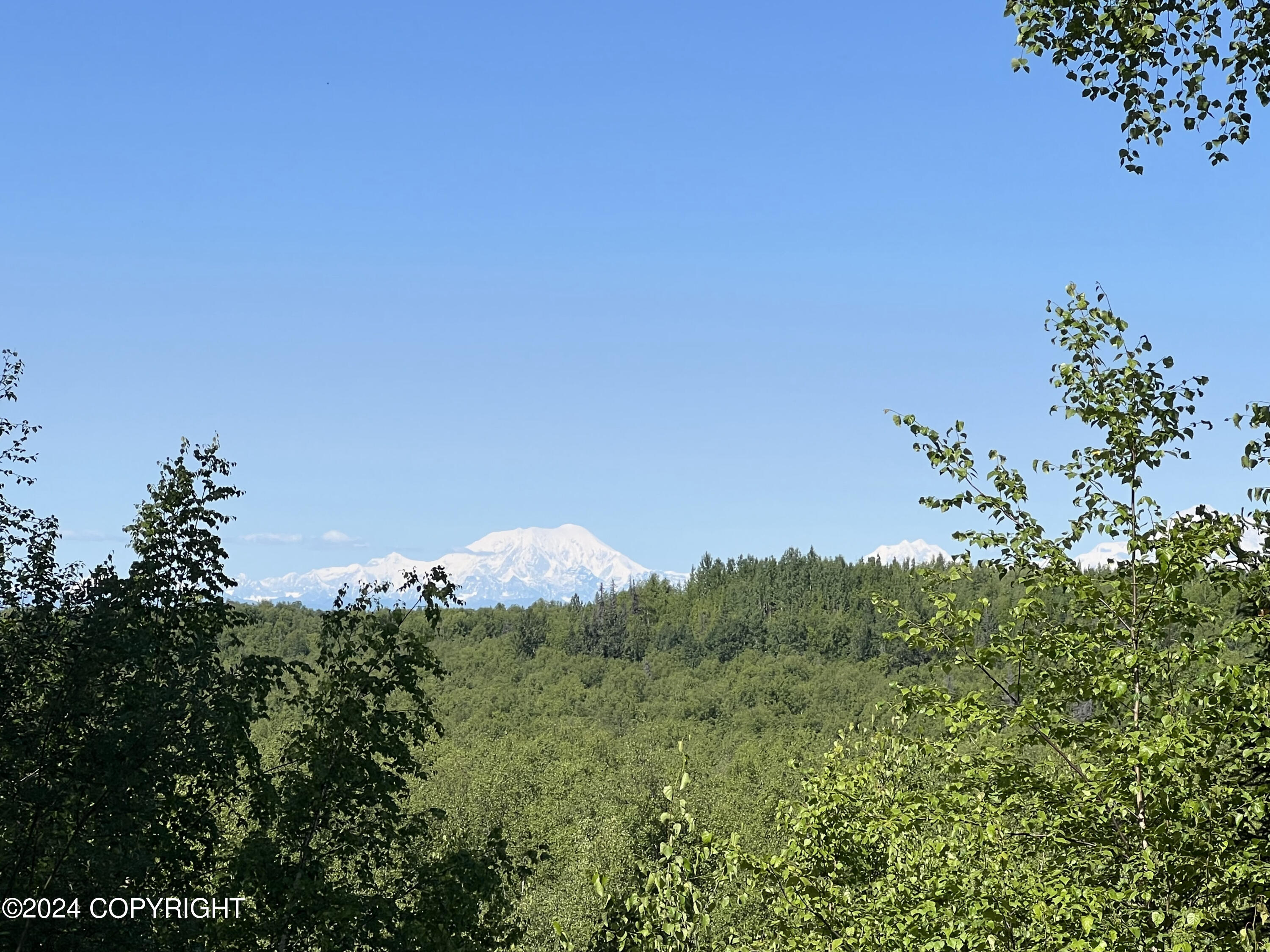 B005 No Road Trail, Willow, Alaska image 21