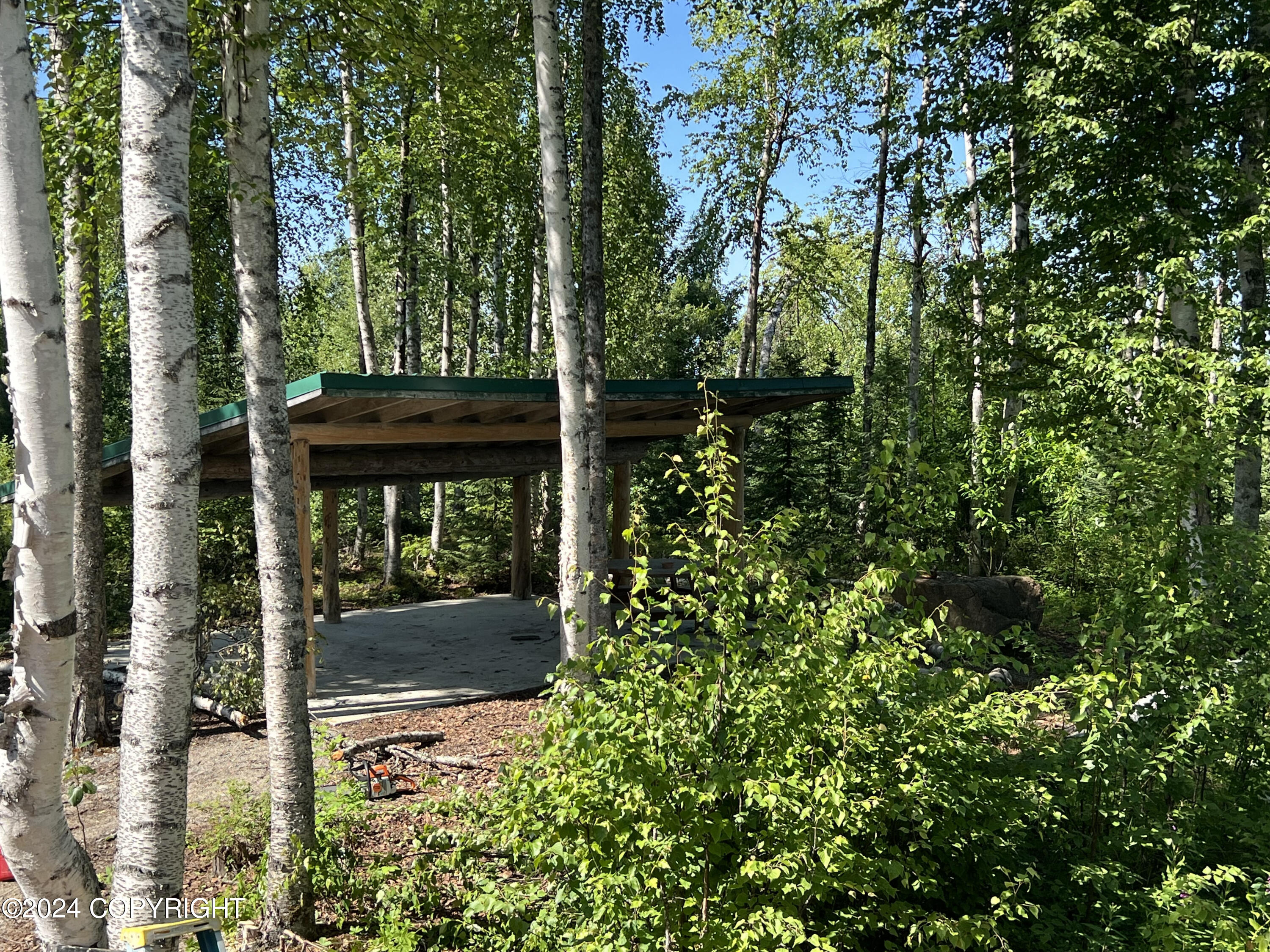 B005 No Road Trail, Willow, Alaska image 24