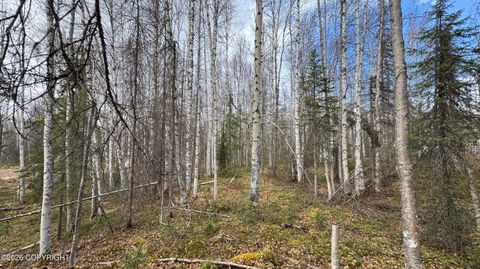 Photo of 19941 E Twentyinch Avenue, Willow, AK 99688 (MLS # 26-5502)