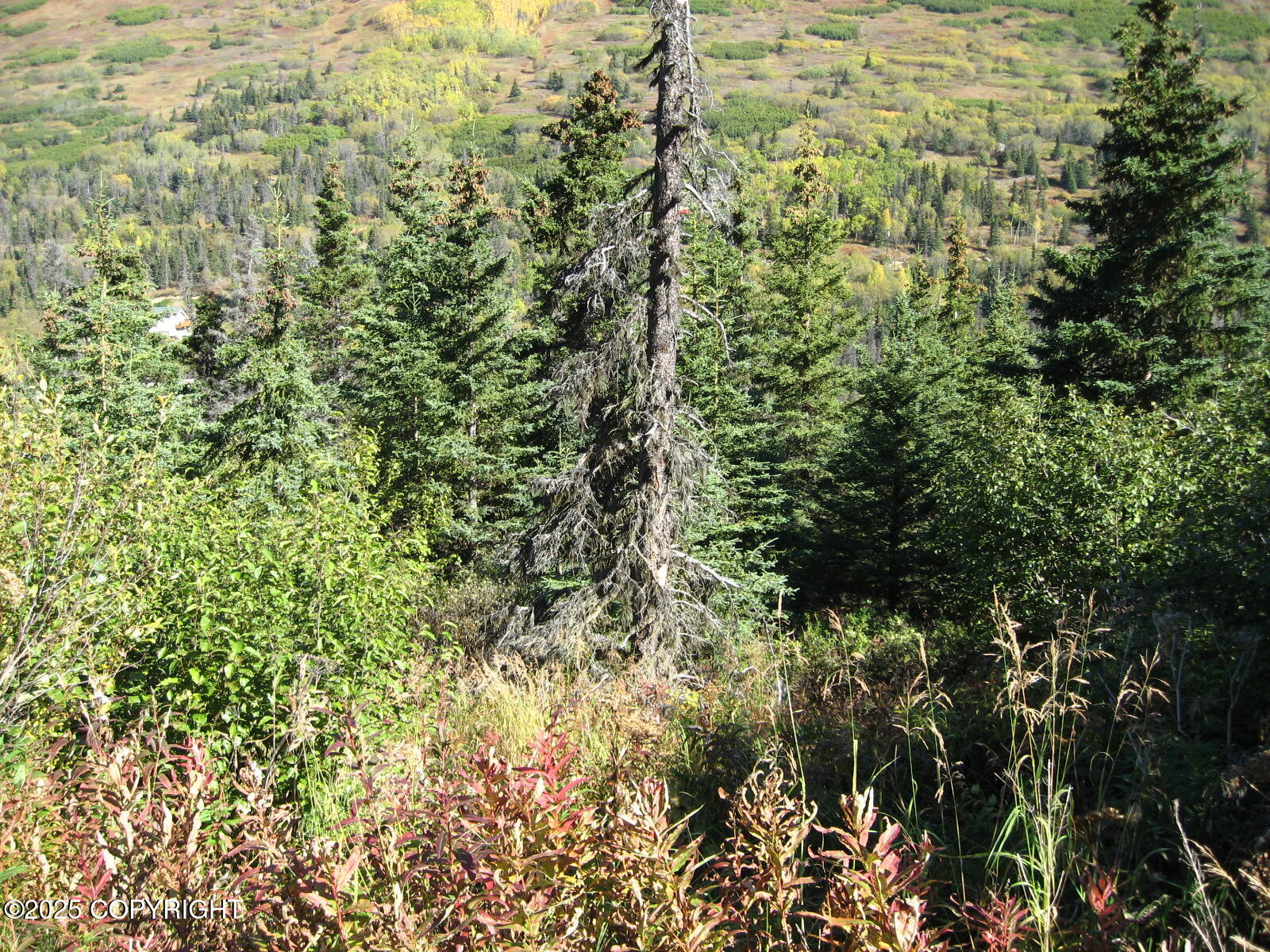 Lot 2 West River Drive, Eagle River, Alaska image 1