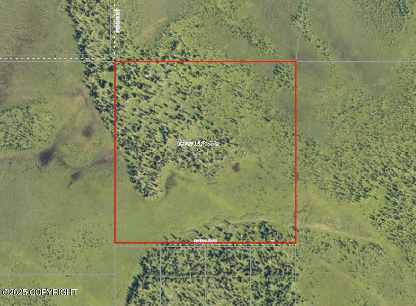 69600 Indy Avenue, Anchor Point, Alaska image 1