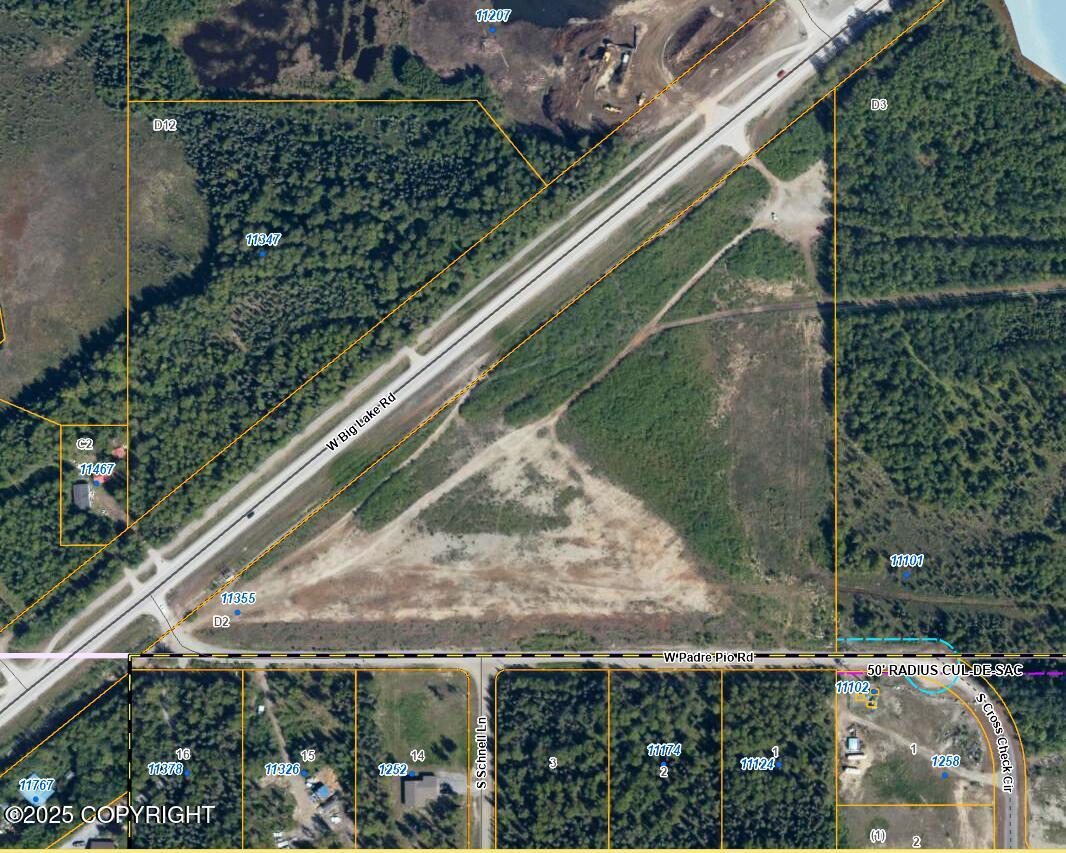 11355 W Padre Pio Road, Big Lake, Alaska image 1