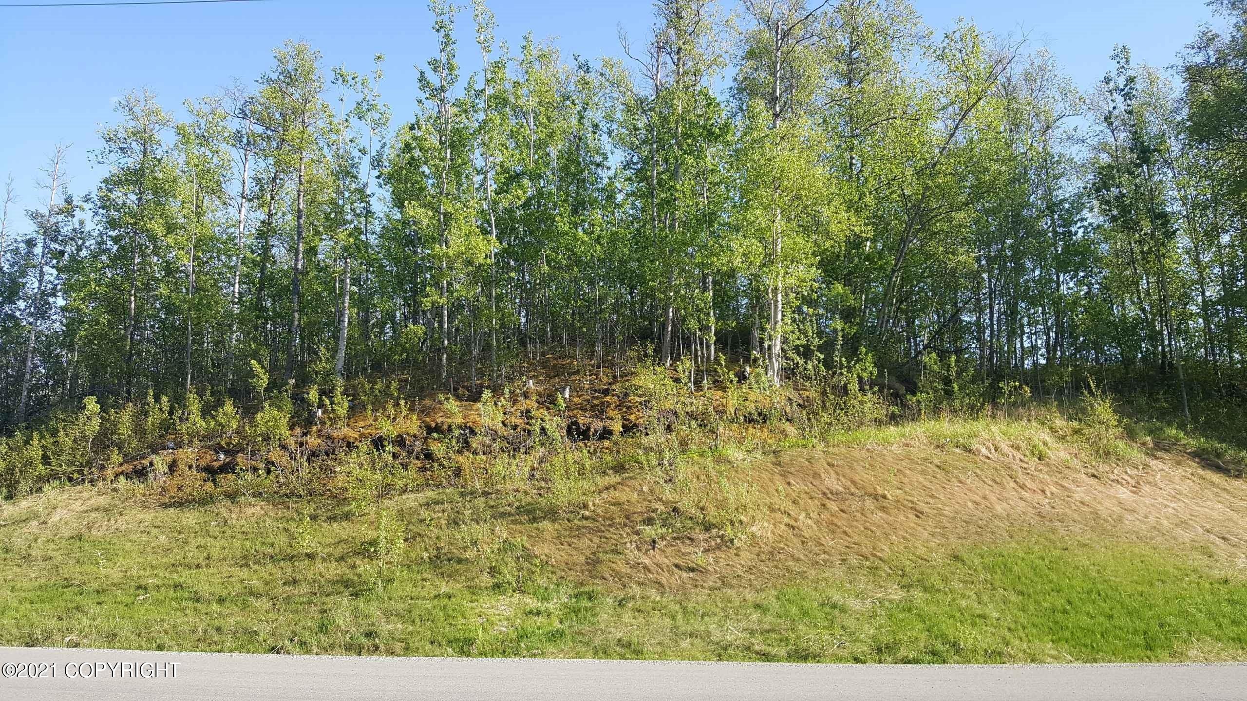 4650 E Shaws Drive, Wasilla, Alaska image 6