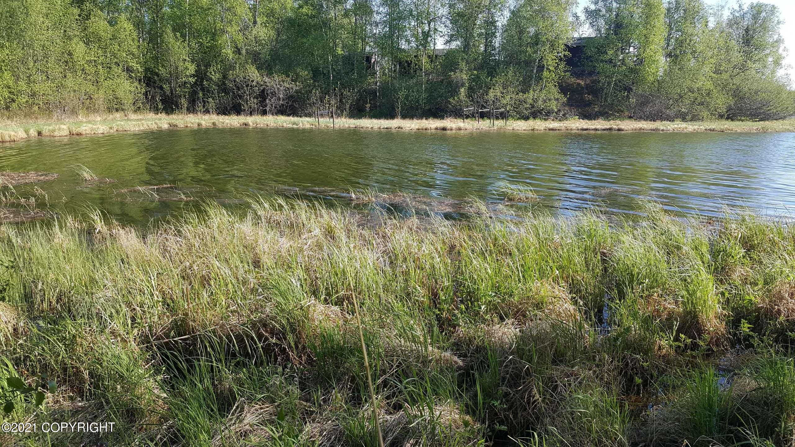 4650 E Shaws Drive, Wasilla, Alaska image 2