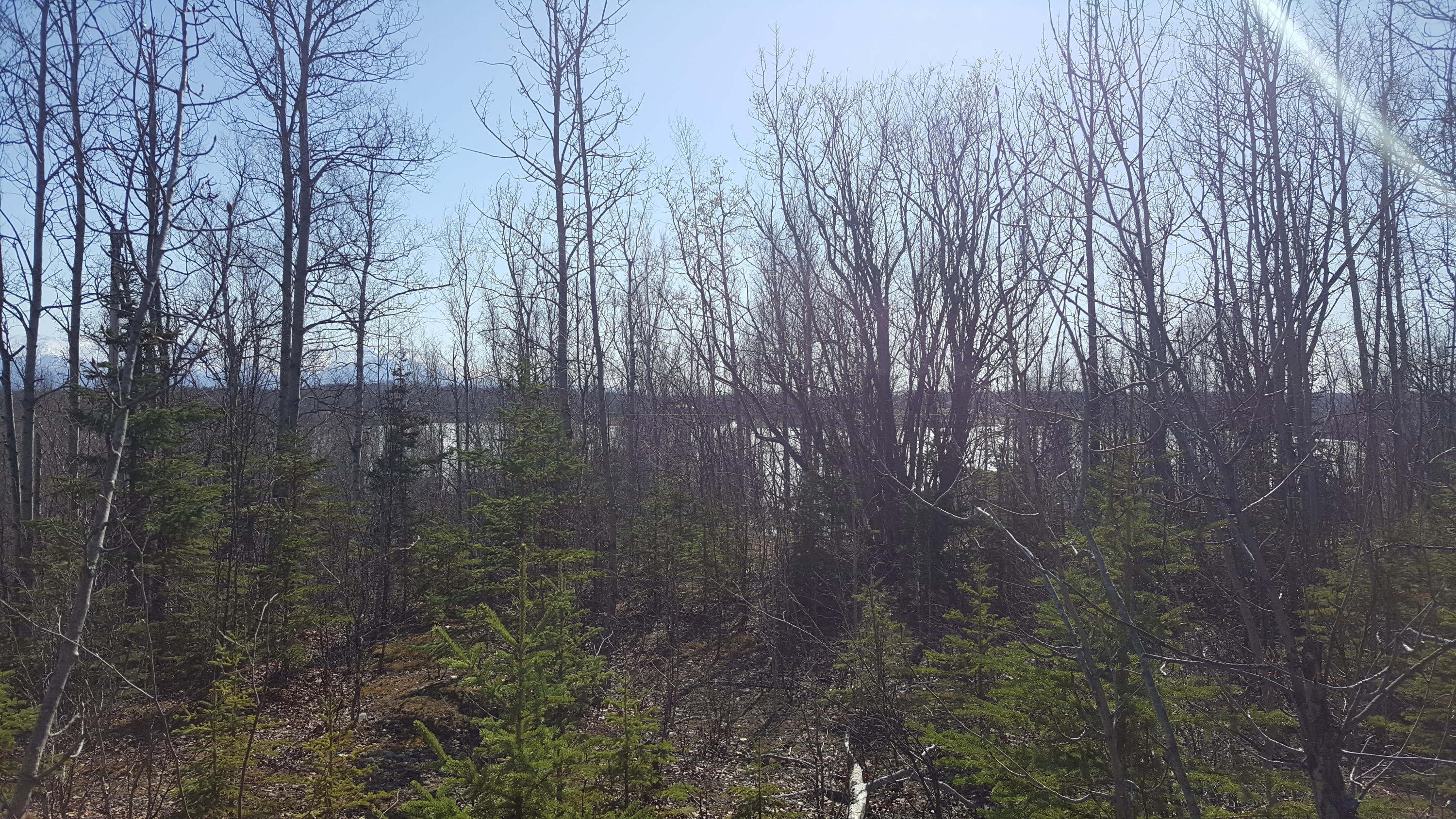 4650 E Shaws Drive, Wasilla, Alaska image 9