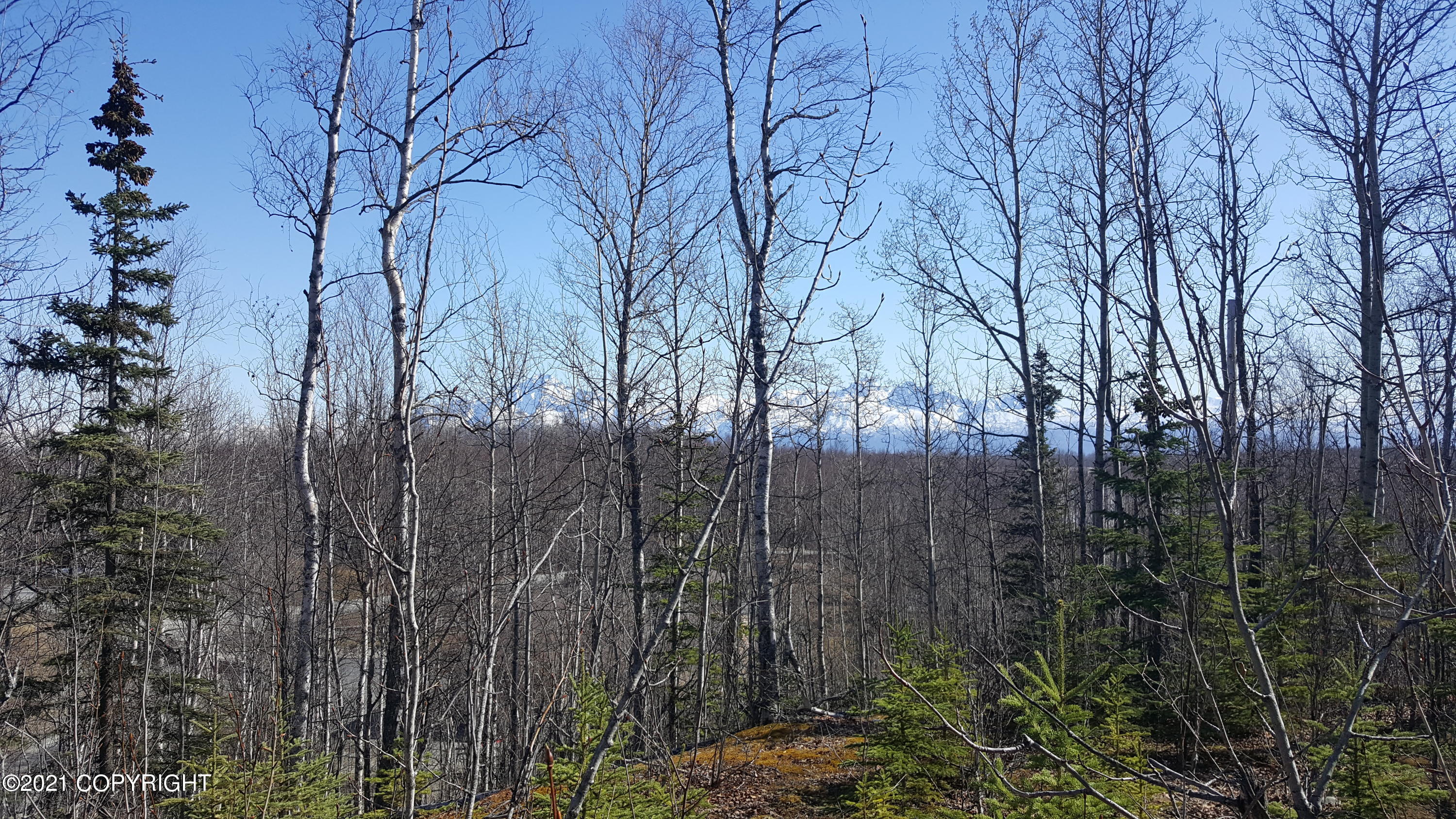 4650 E Shaws Drive, Wasilla, Alaska image 8