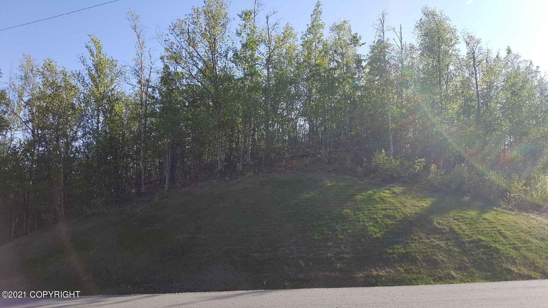 4650 E Shaws Drive, Wasilla, Alaska image 7