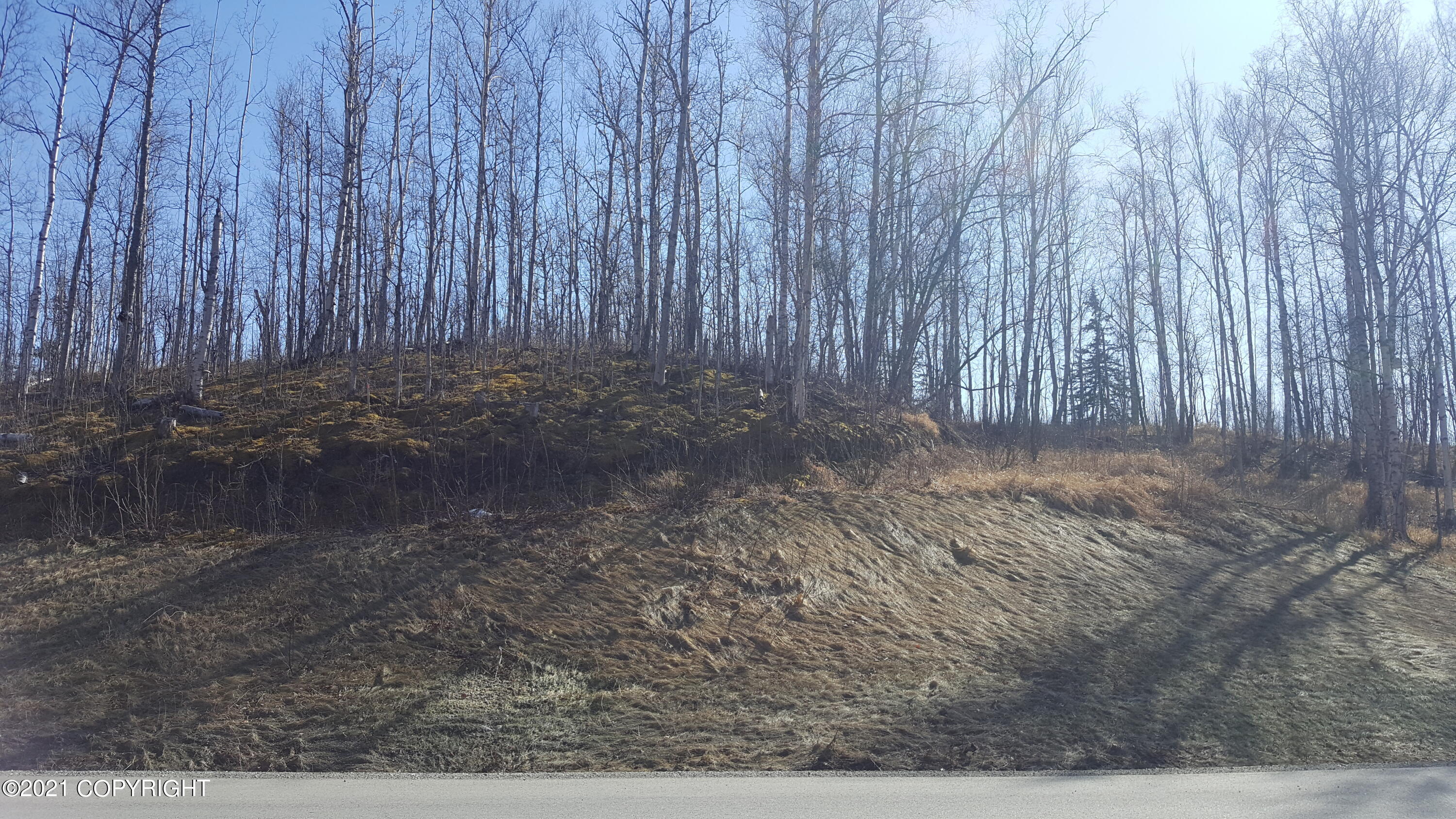 4650 E Shaws Drive, Wasilla, Alaska image 10