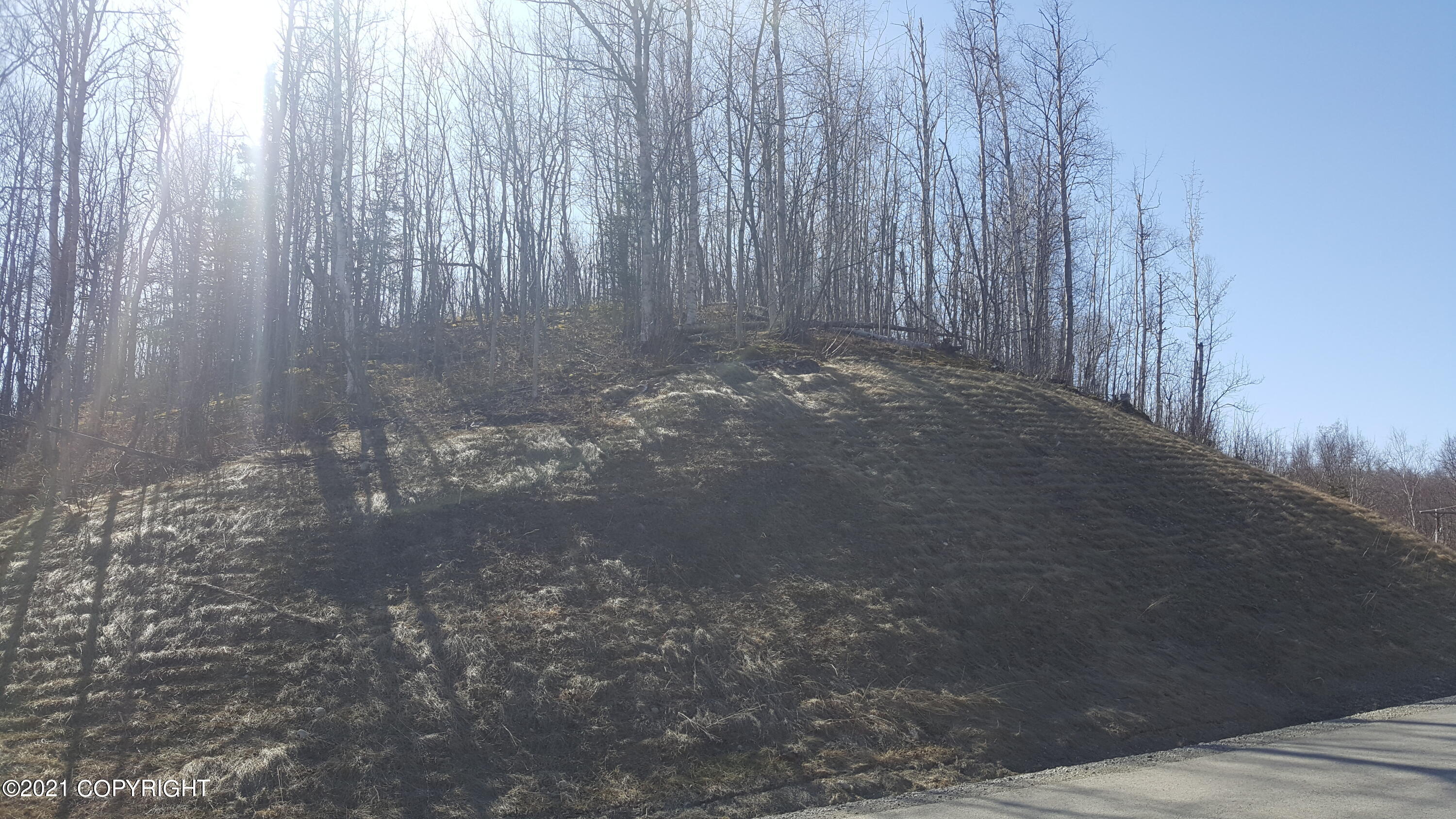 4650 E Shaws Drive, Wasilla, Alaska image 11