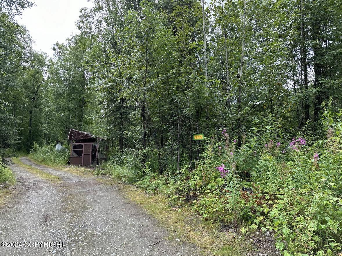 14702 E Love Lee Lane Ln, Talkeetna, Texas image 1