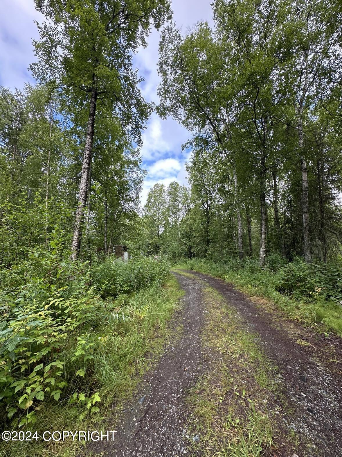14702 E Love Lee Lane Ln, Talkeetna, Texas image 2