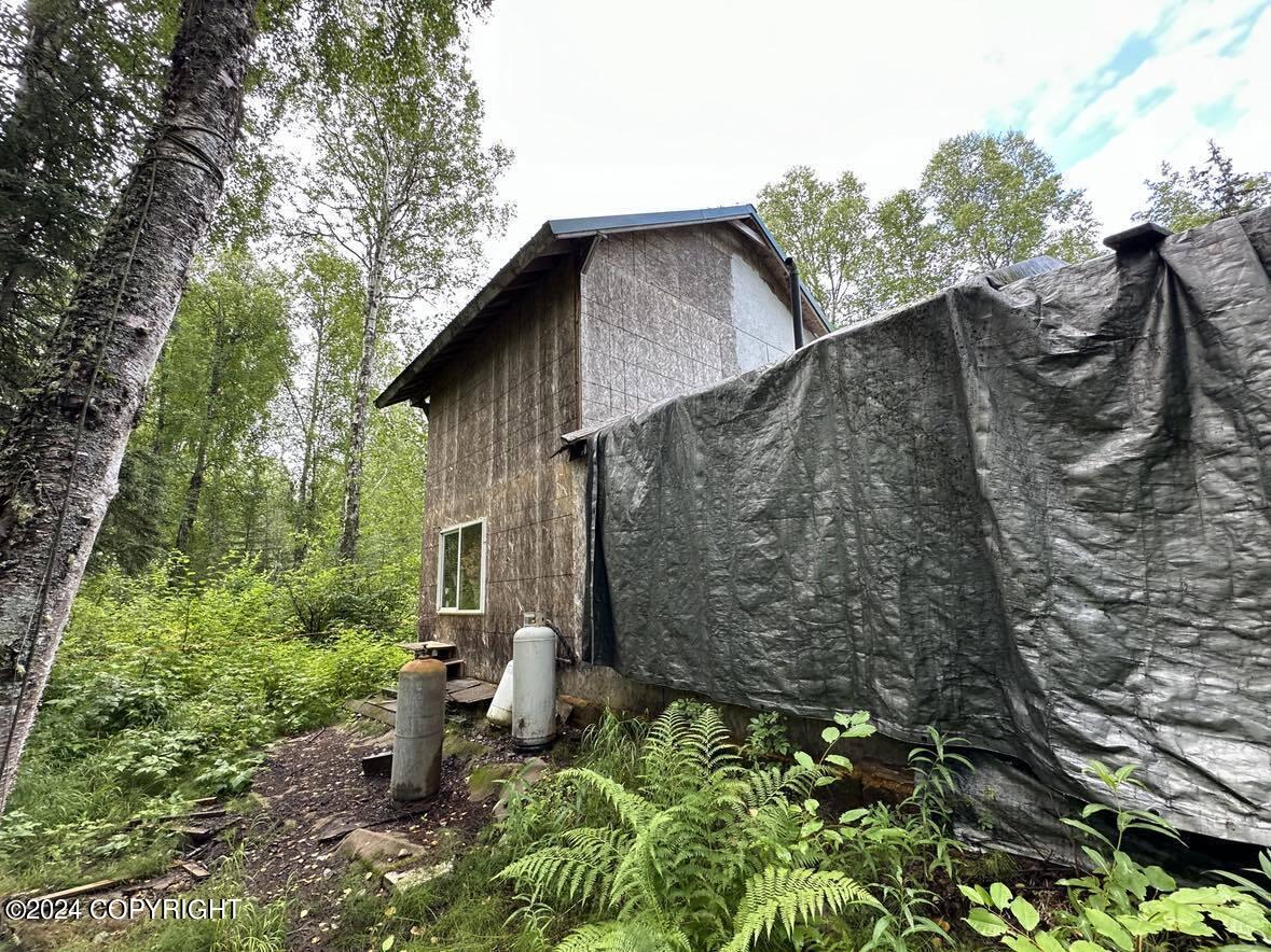 14702 E Love Lee Lane Ln, Talkeetna, Texas image 3