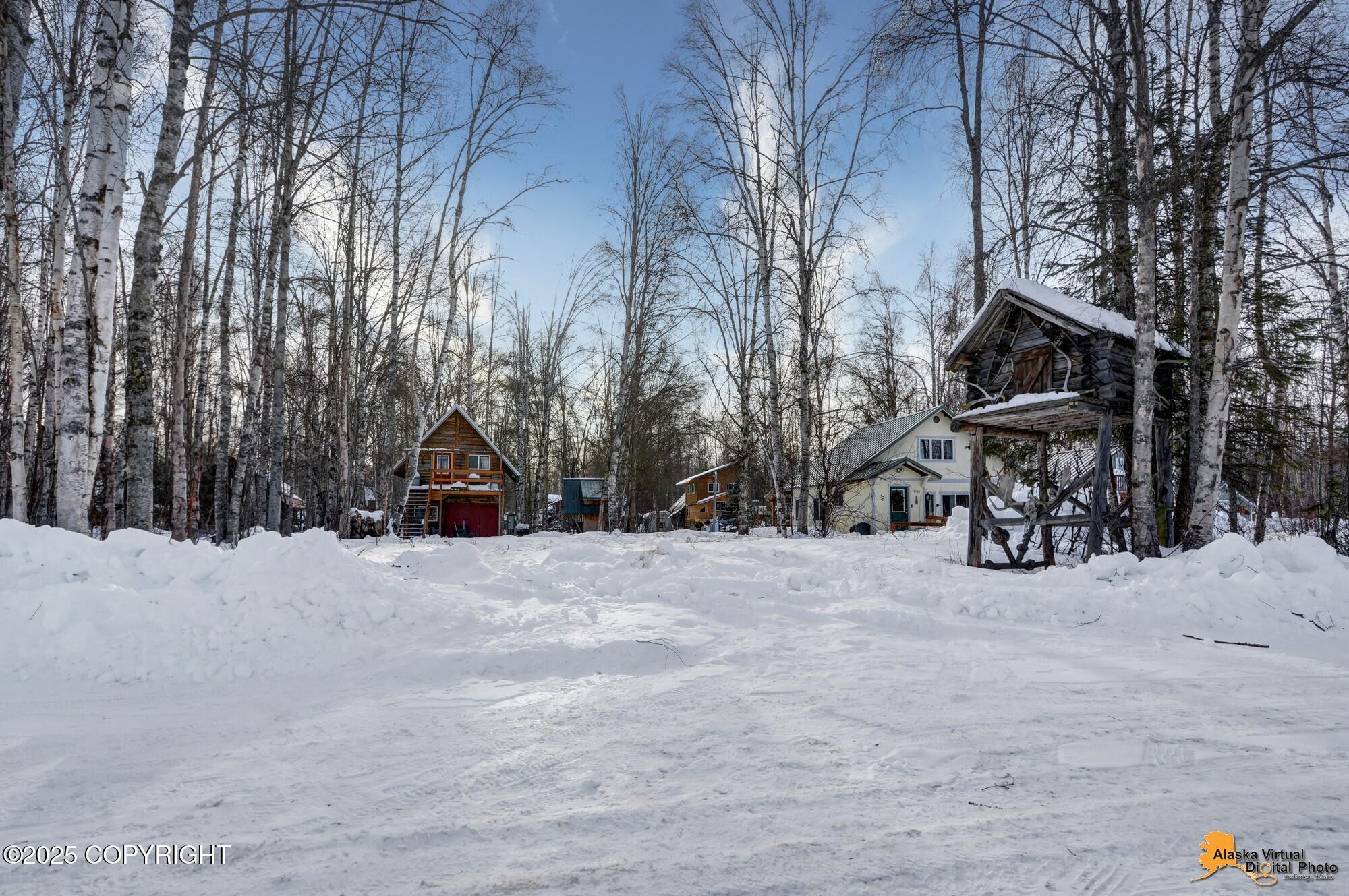 13718 E 1st Street, Talkeetna, Alaska image 49