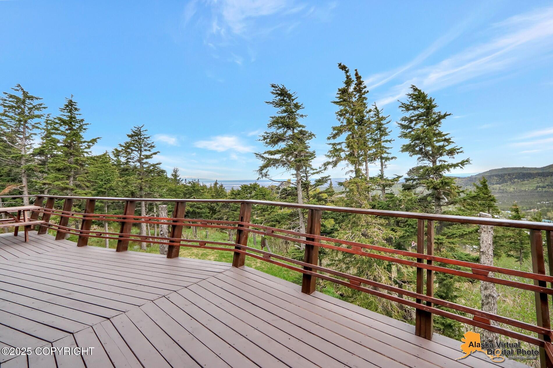 17132 Carl Street, Anchorage, Alaska image 30