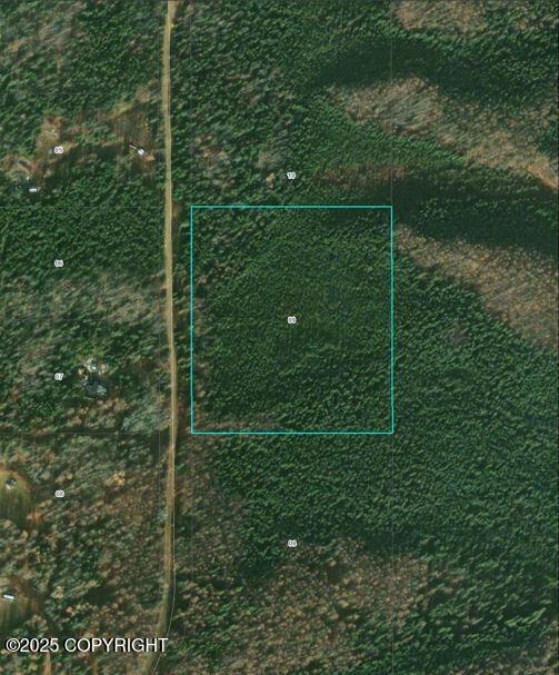 Lot 9 Lundeberg Road, Fairbanks, Texas image 2
