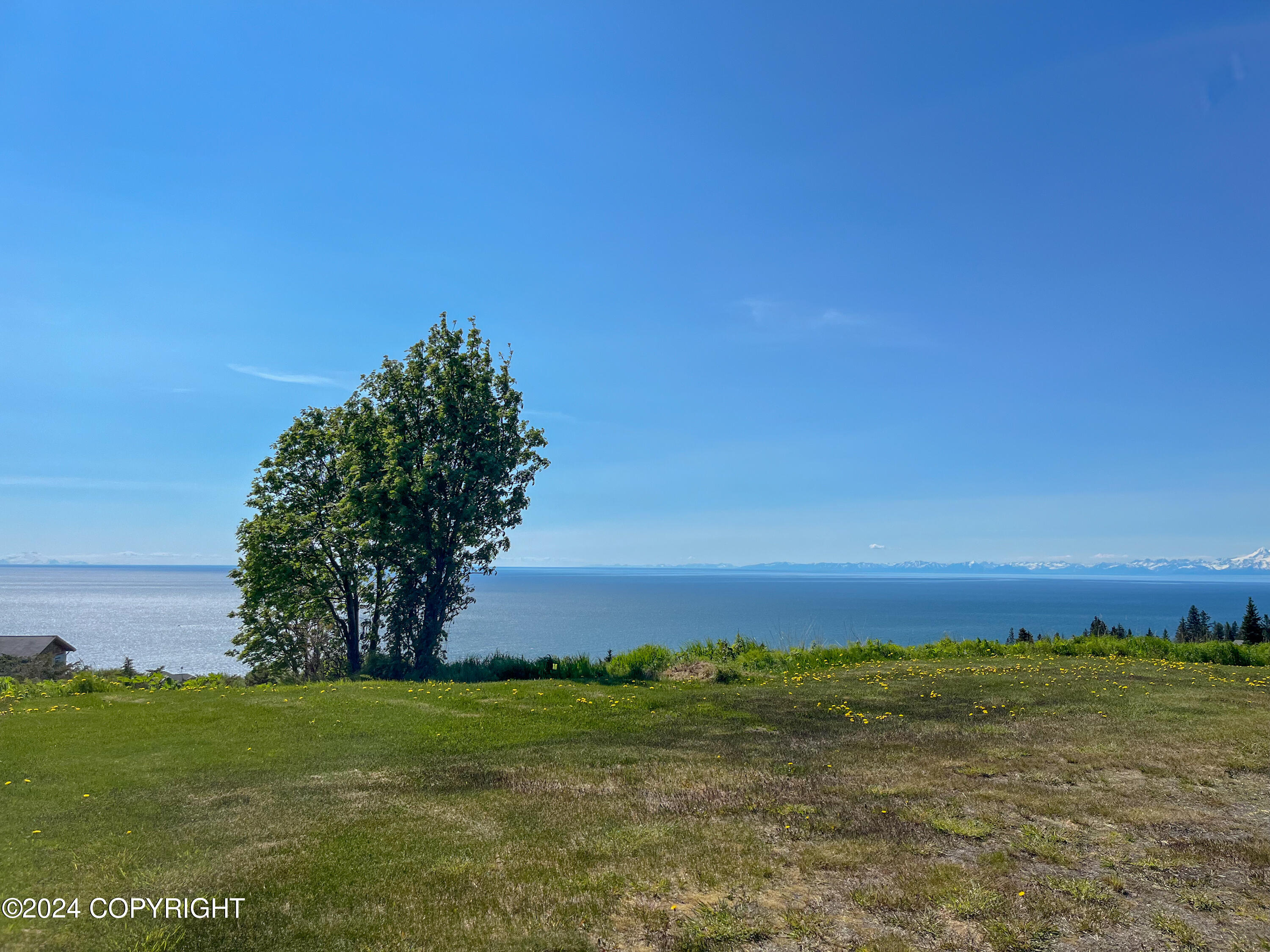 67737 Walter Thomas Road, Homer, Alaska image 7