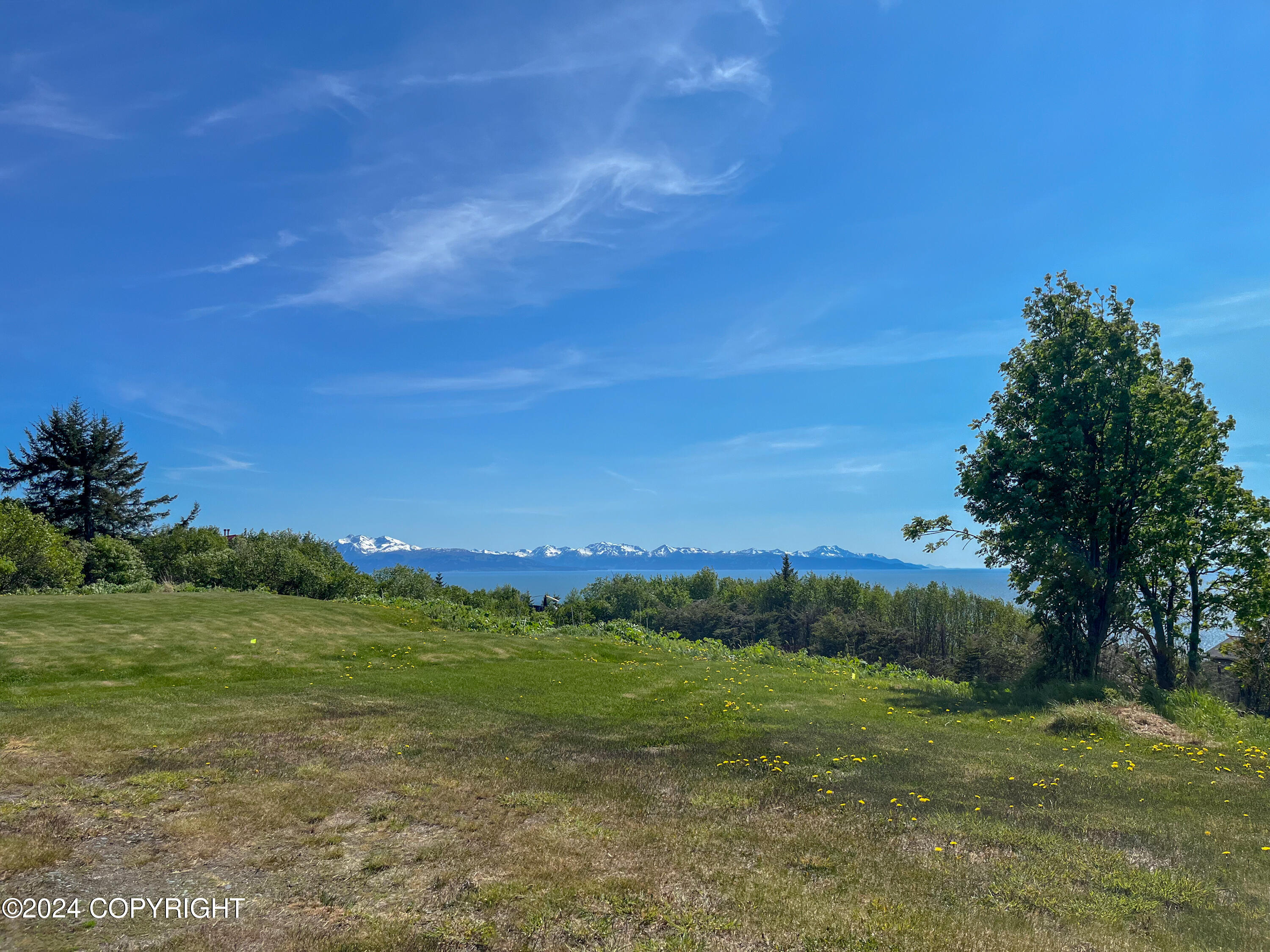 67737 Walter Thomas Road, Homer, Alaska image 4