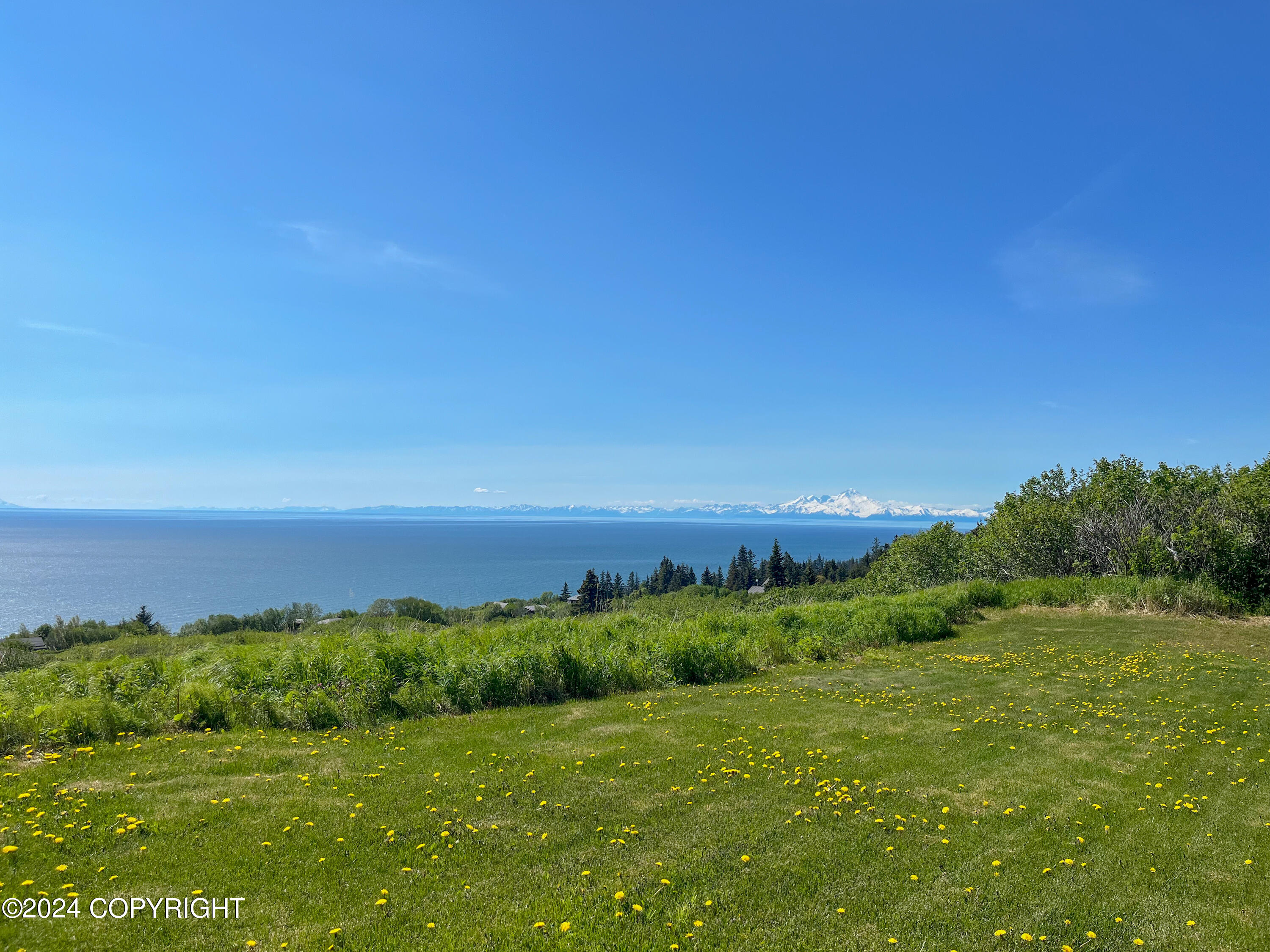 67737 Walter Thomas Road, Homer, Alaska image 3