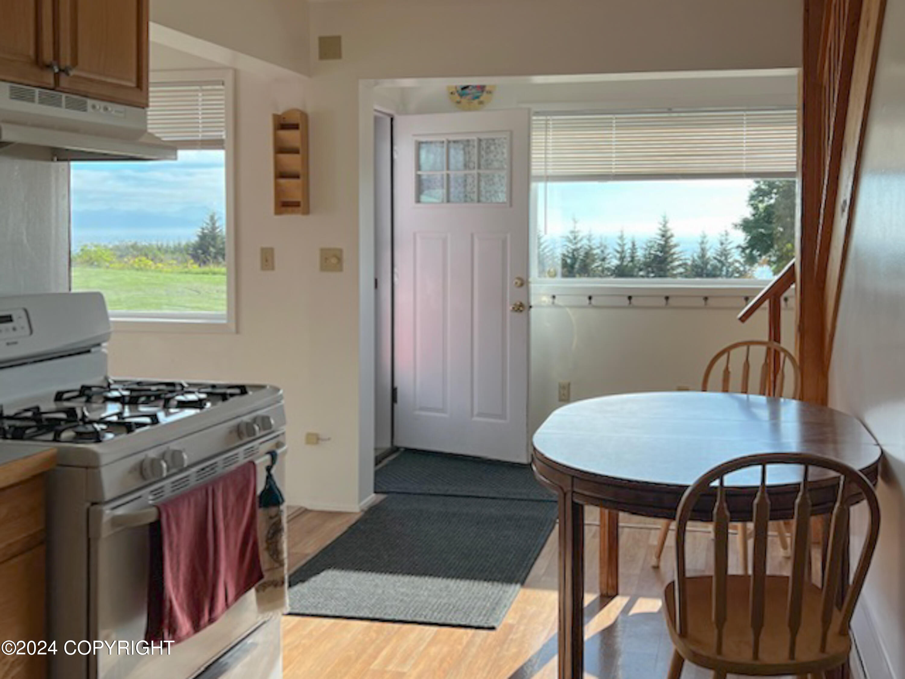 67737 Walter Thomas Road, Homer, Alaska image 11