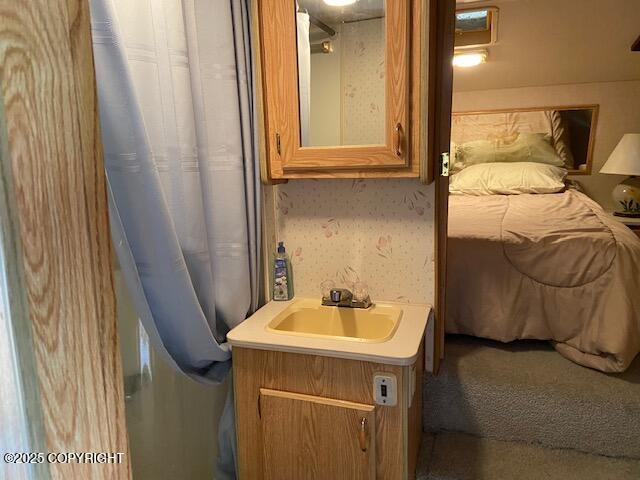Lot 342 Poachers Cove, Soldotna, Alaska image 7