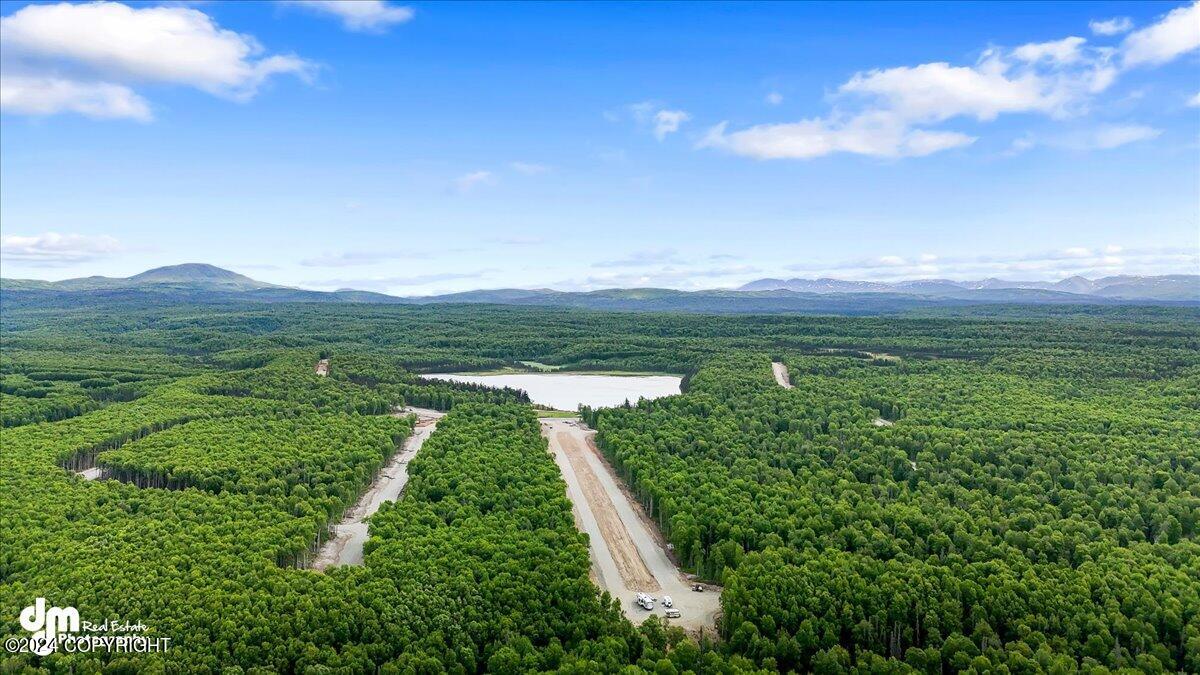 Unit 114 Baldy Lake Airpark Street, Talkeetna, Alaska image 8