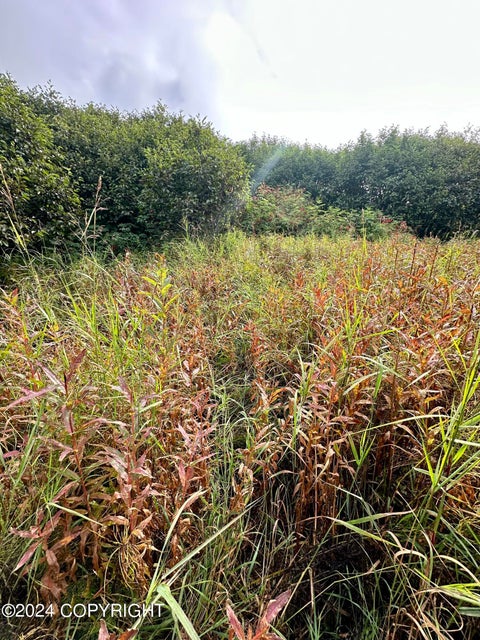 Vacant Land For Sale - 68395 Kensington Avenue<br/> Ninilchik, AK 99639
