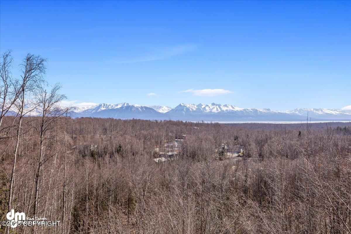 5900 W Binnacle Drive, Wasilla, Alaska image 46