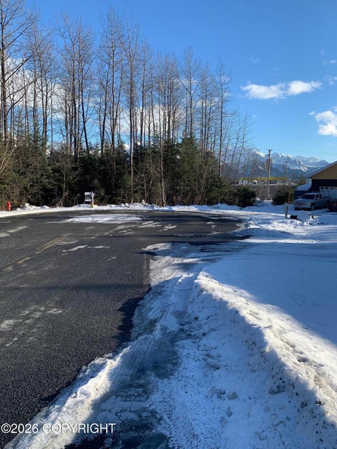Vacant Land For Sale - 1810 Parks Place<br/> Seward, AK 99664